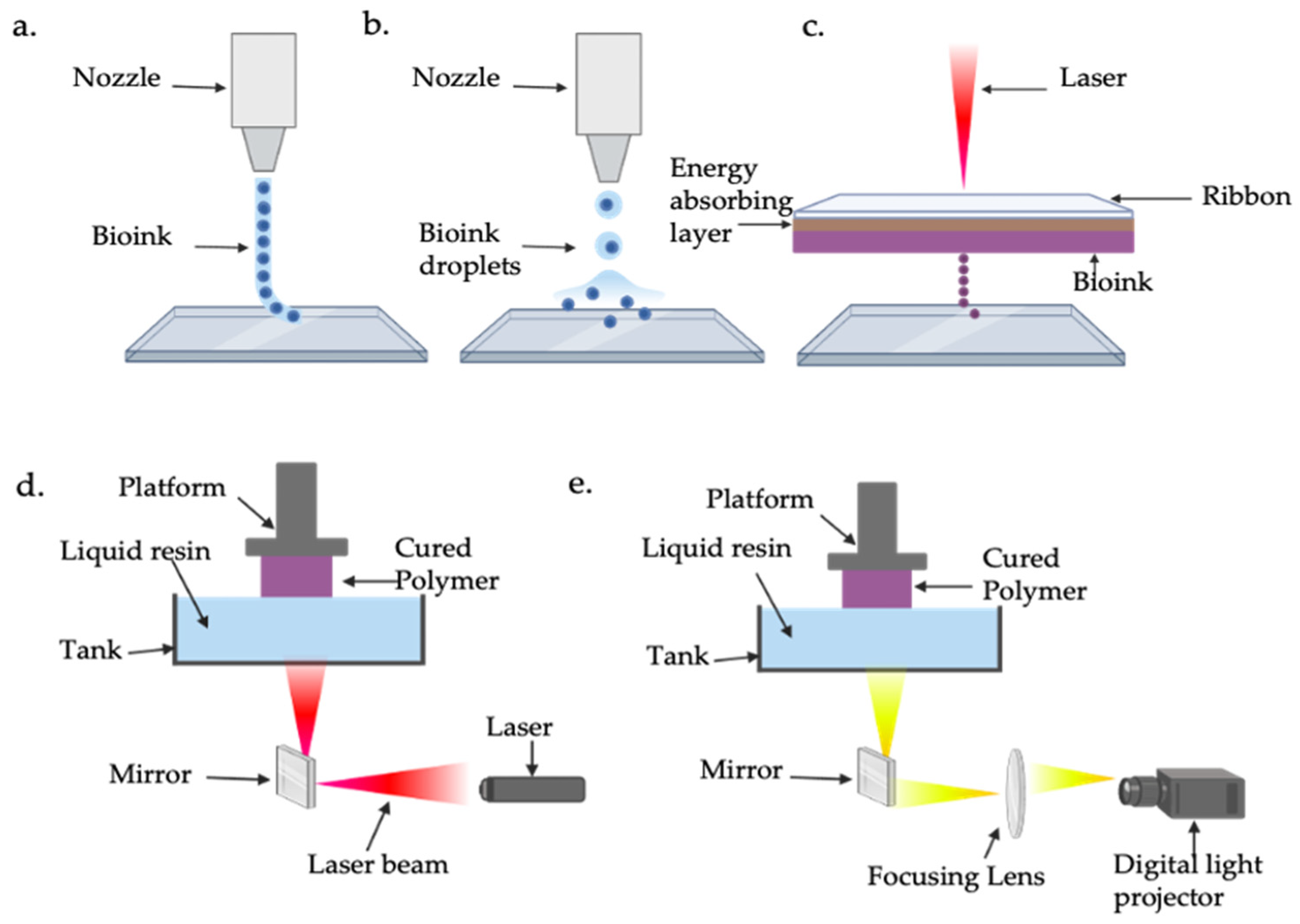 Ijms 26 02309 g004 Ijms 26 02309 g004