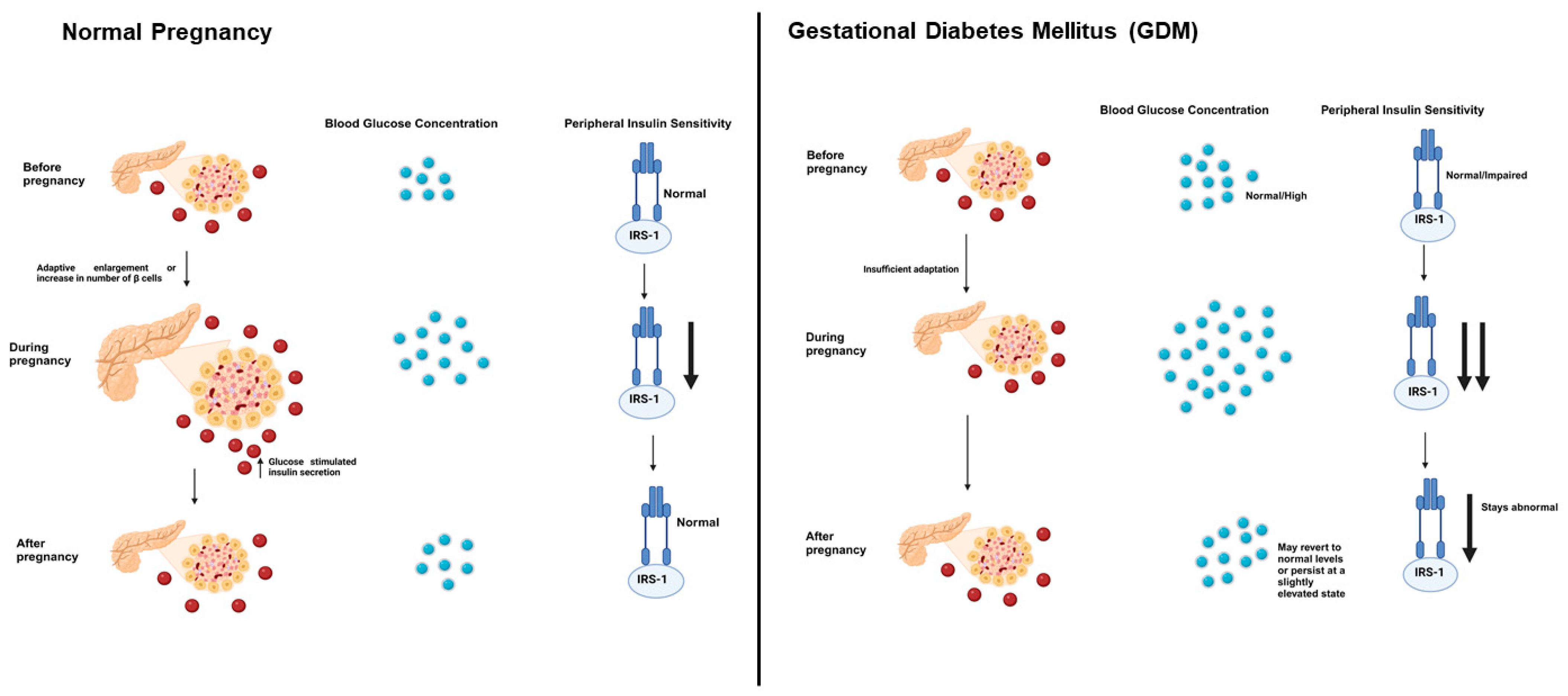 Ijms 26 02320 g003 Ijms 26 02320 g003