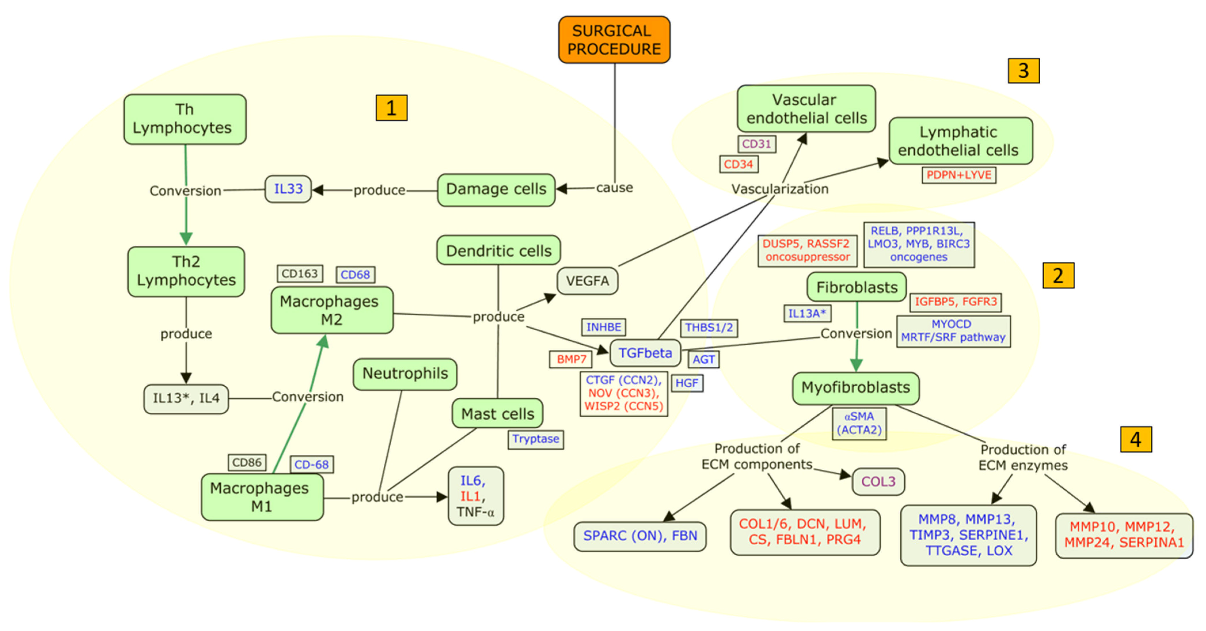 Ijms 26 02327 g002 Ijms 26 02327 g002