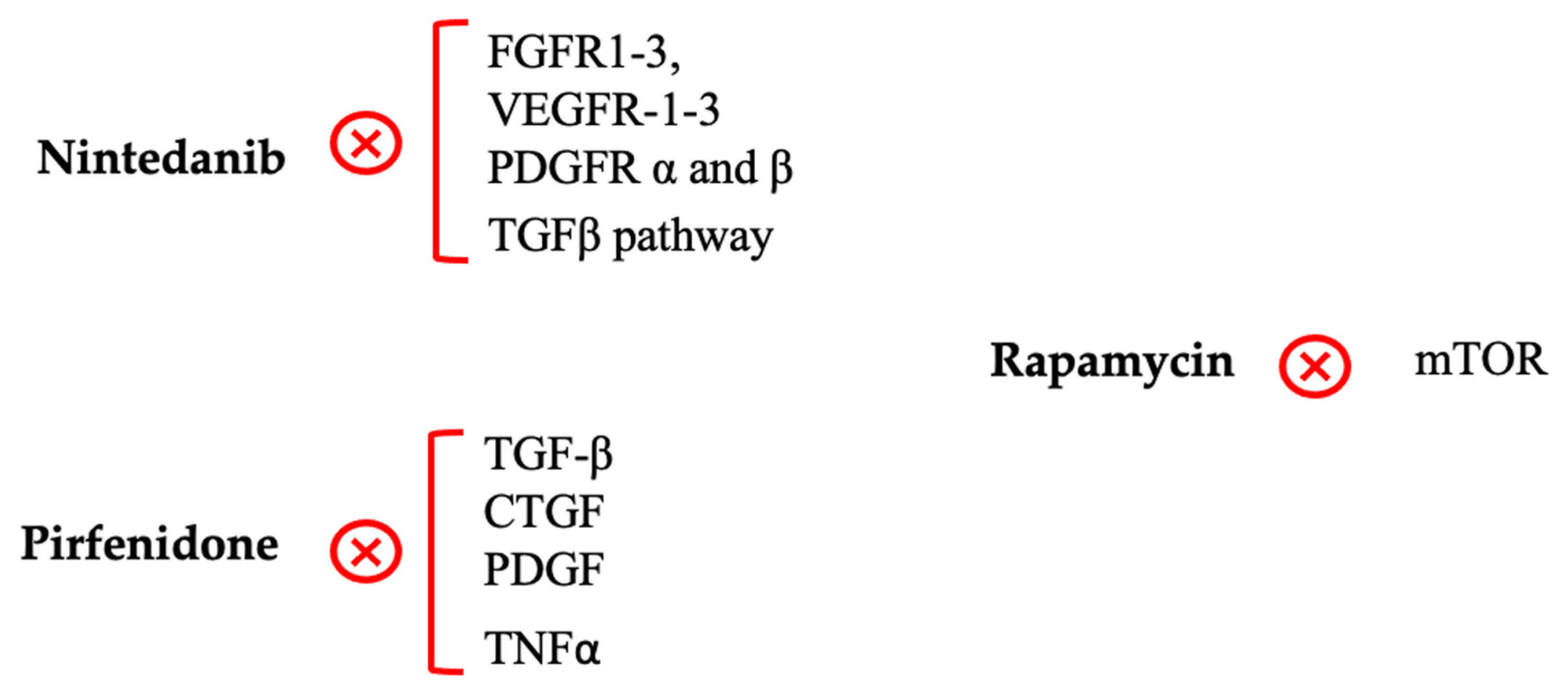Ijms 26 02327 g003 Ijms 26 02327 g003
