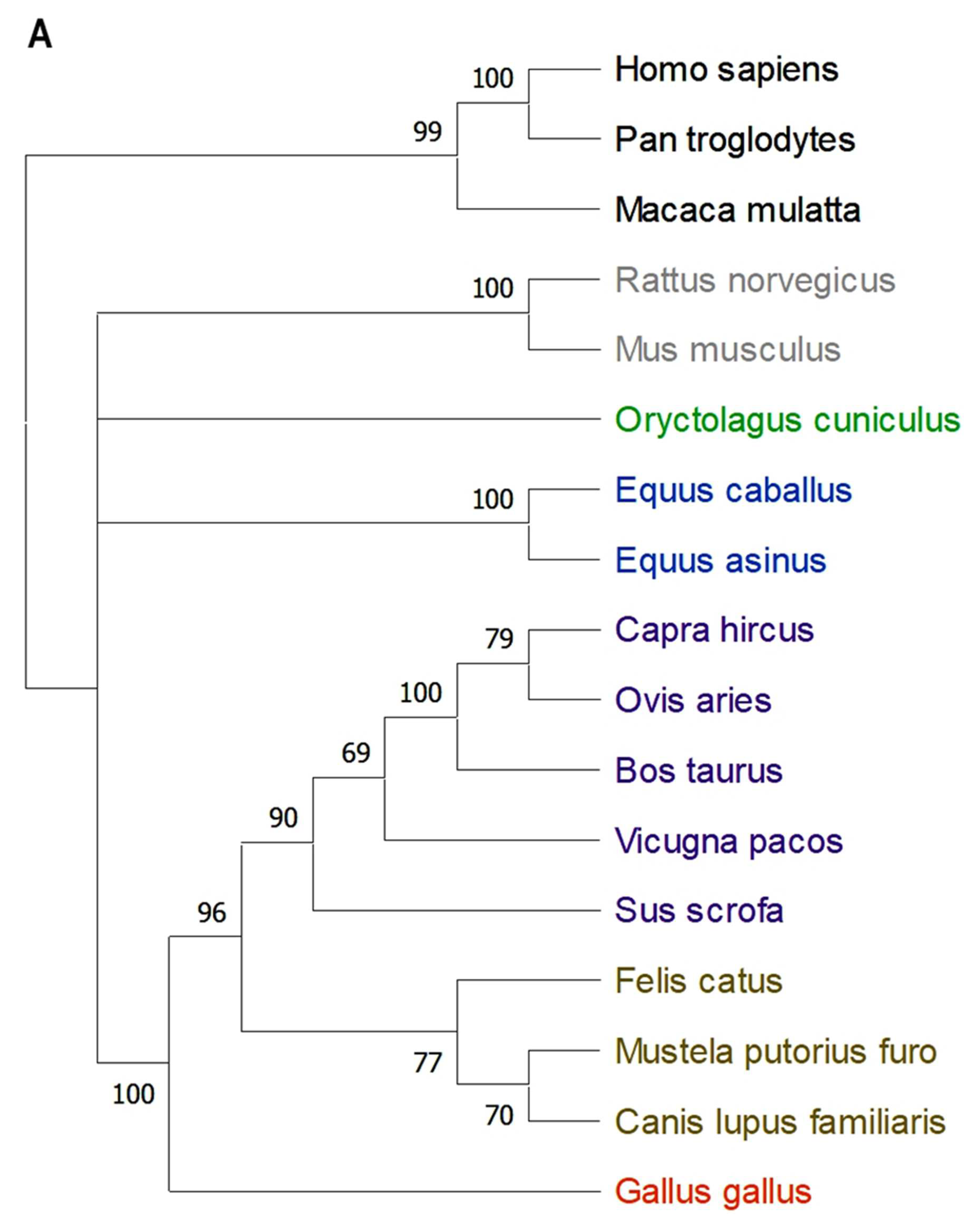 Ijms 26 02329 g002a Ijms 26 02329 g002a