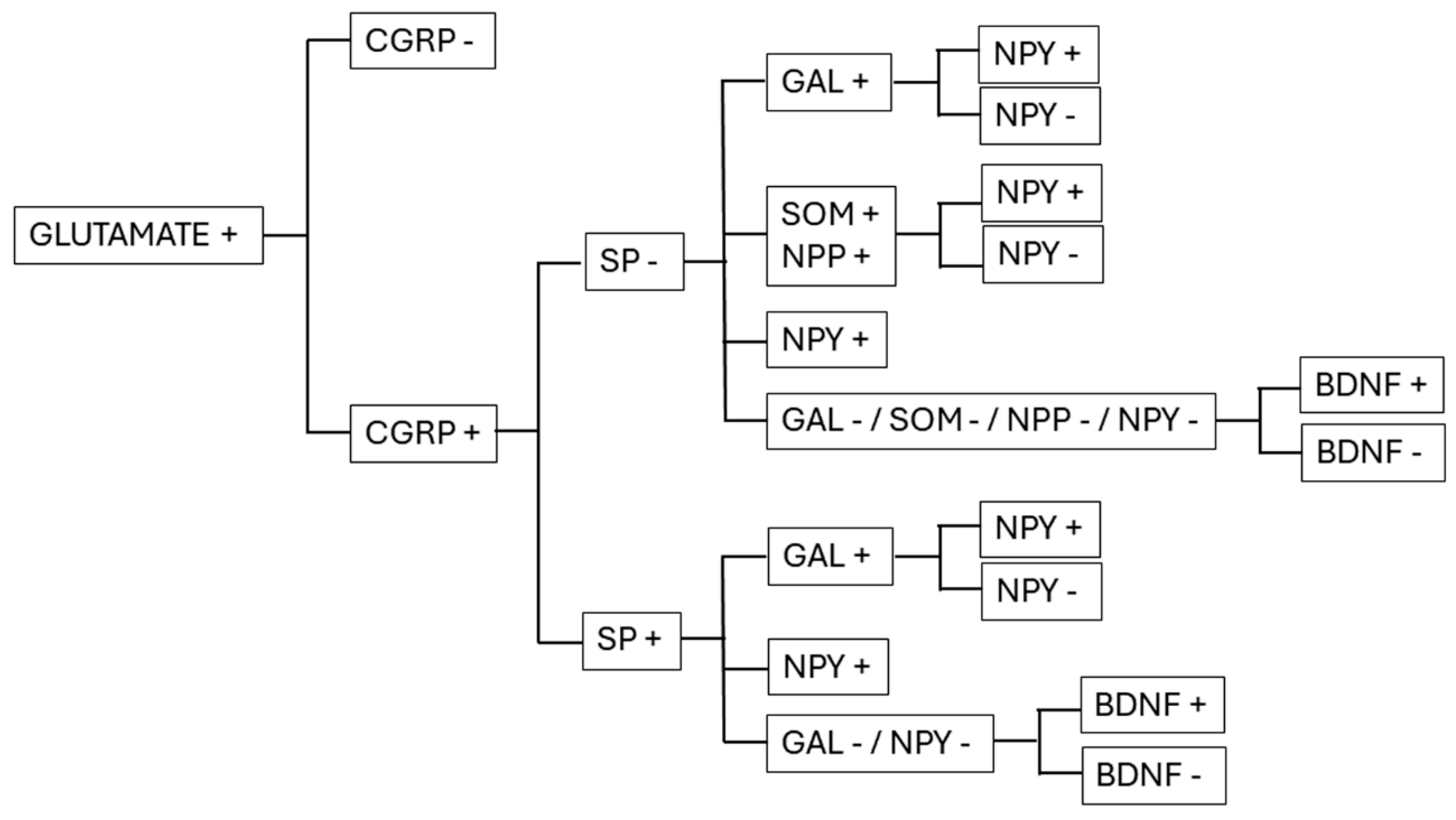 Ijms 26 02356 g002 Ijms 26 02356 g002