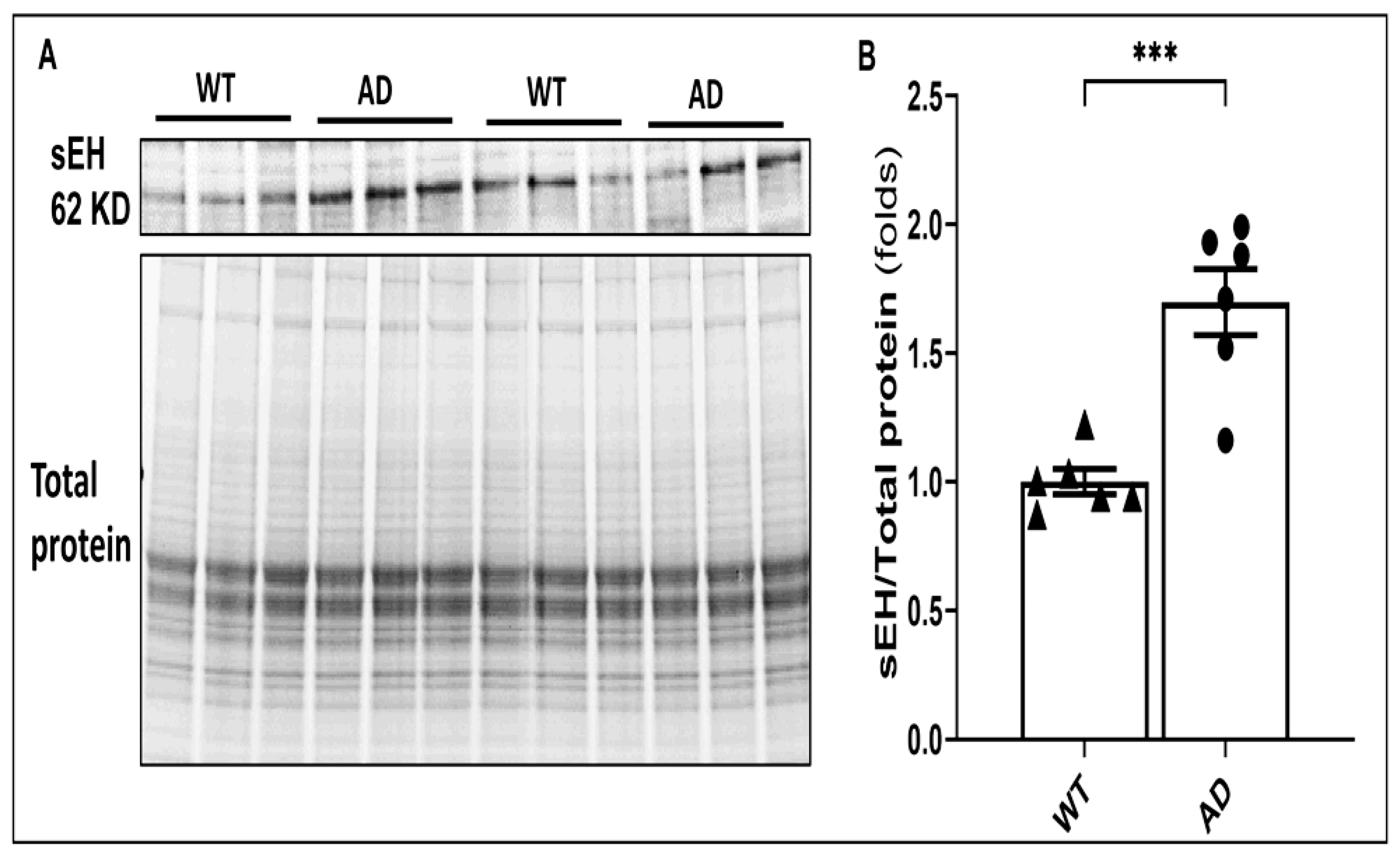 Ijms 26 02433 g001 Ijms 26 02433 g001