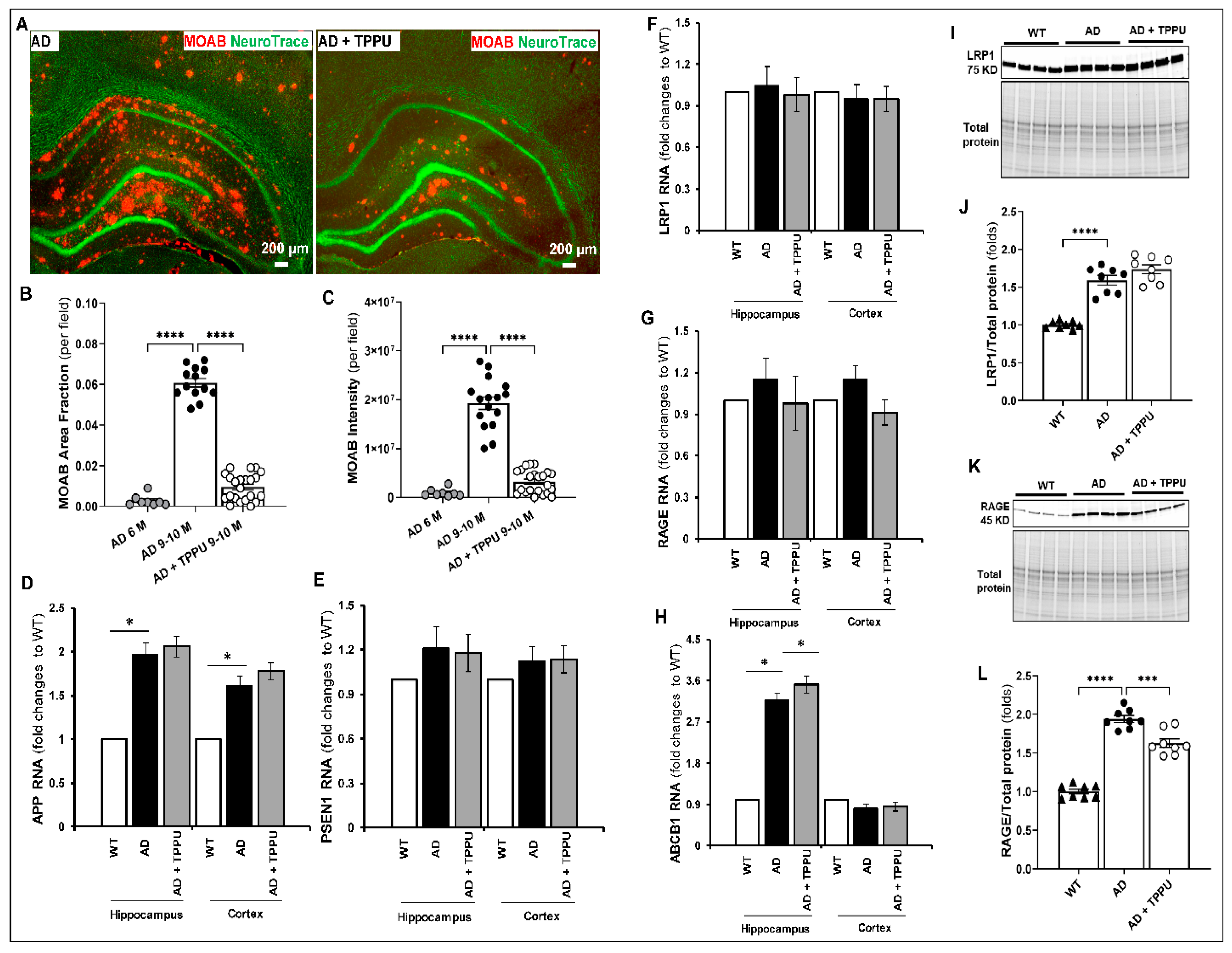 Ijms 26 02433 g002 Ijms 26 02433 g002