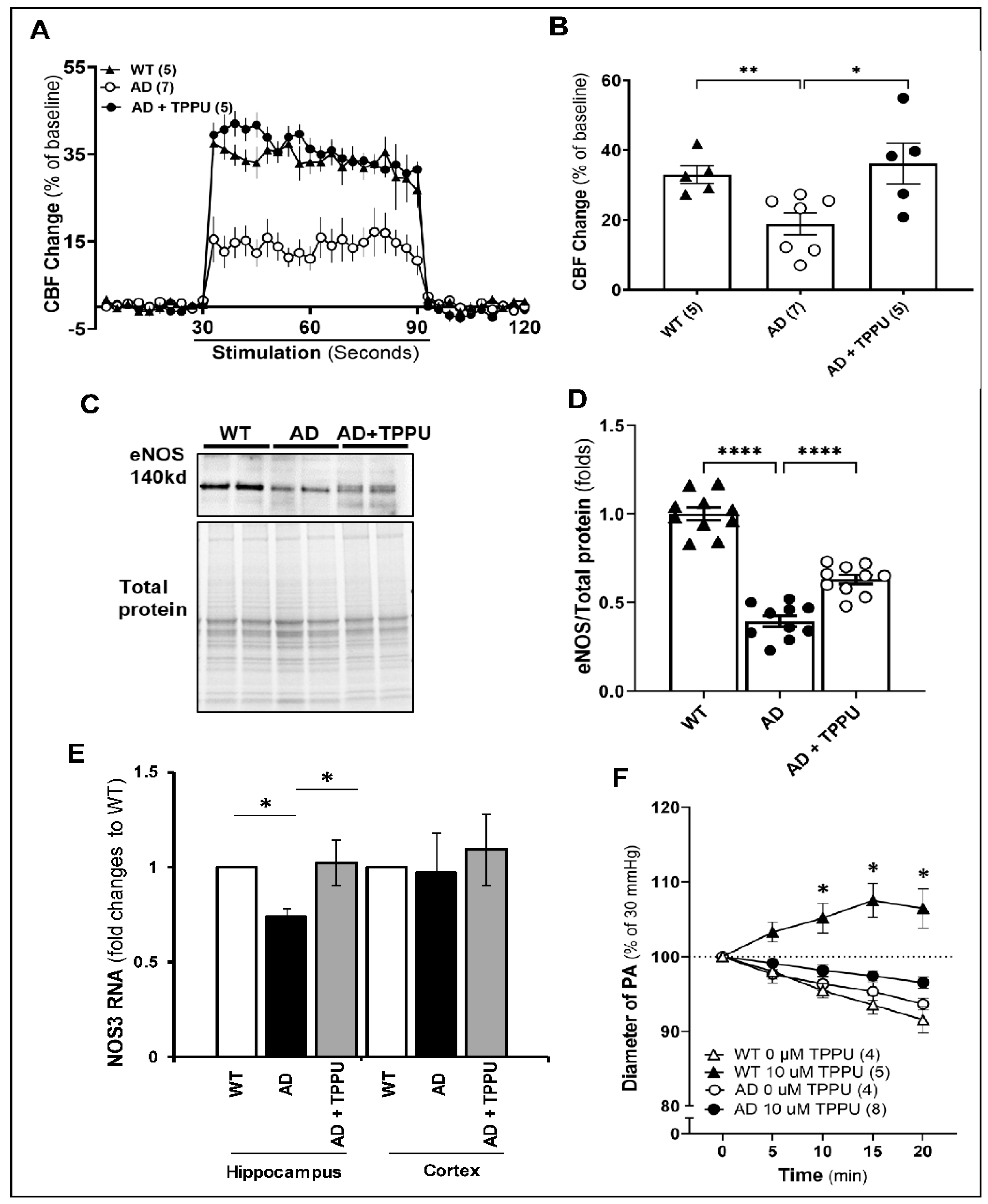 Ijms 26 02433 g003 Ijms 26 02433 g003