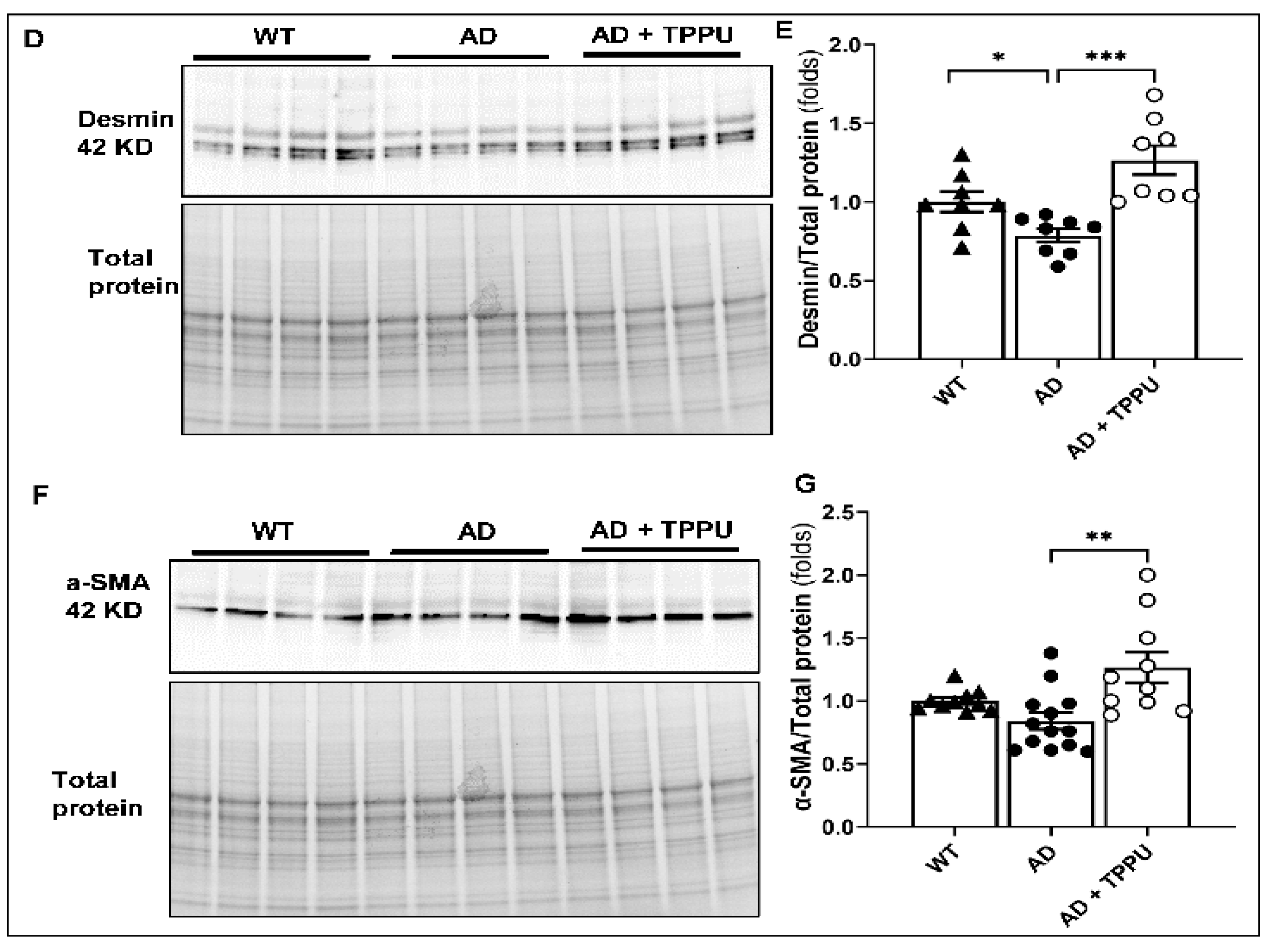 Ijms 26 02433 g004b Ijms 26 02433 g004b