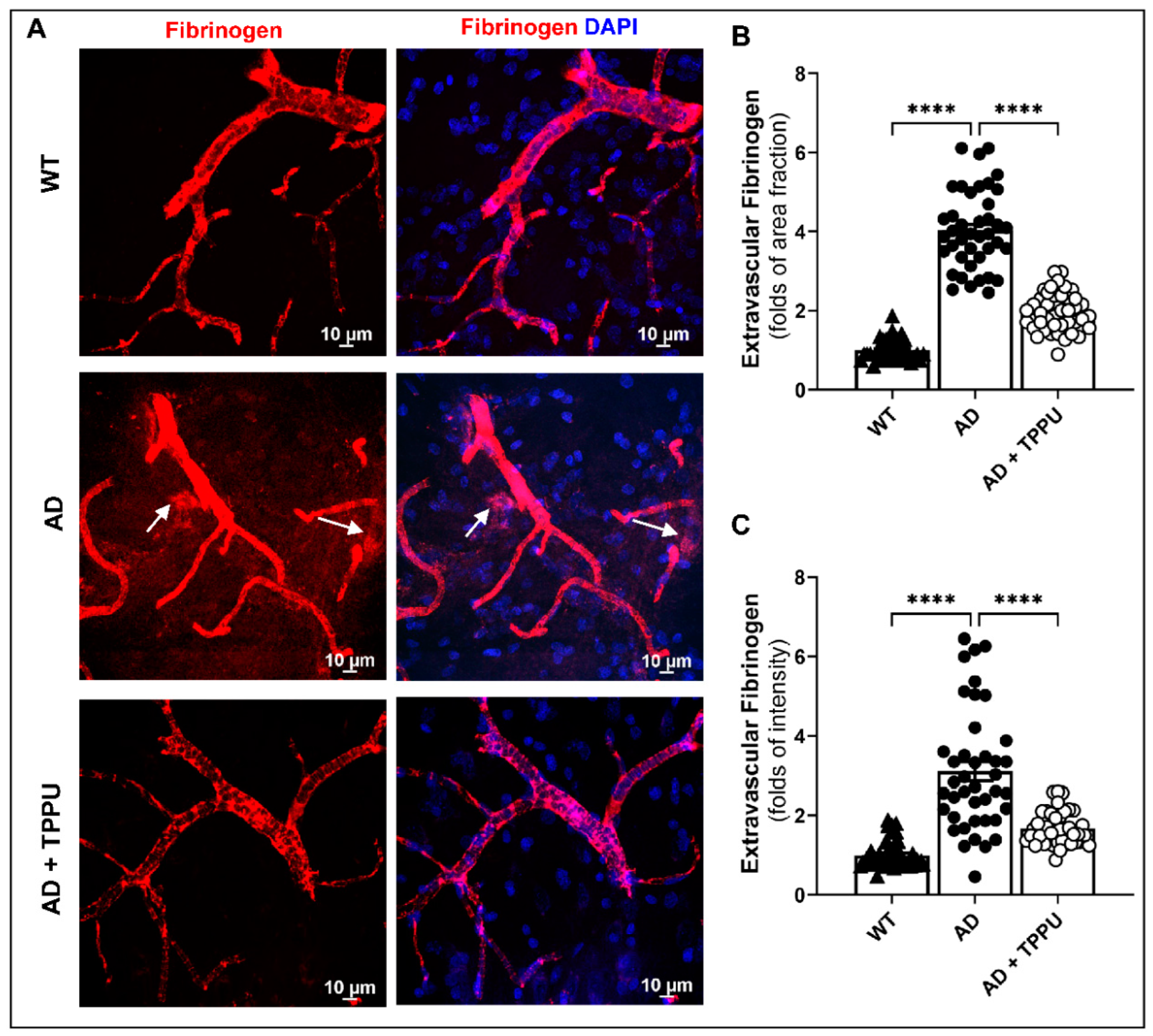 Ijms 26 02433 g005 Ijms 26 02433 g005