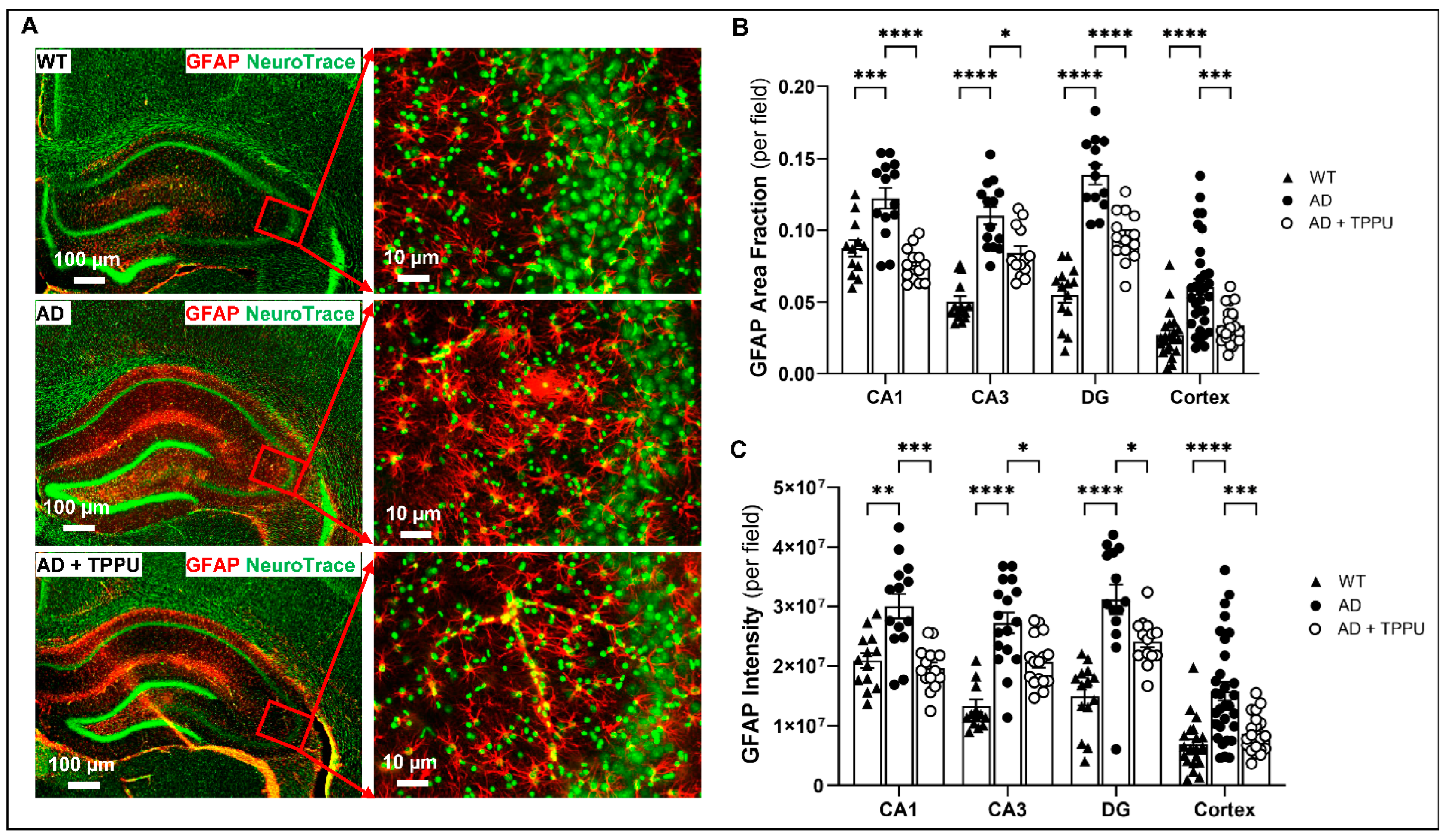Ijms 26 02433 g006a Ijms 26 02433 g006a
