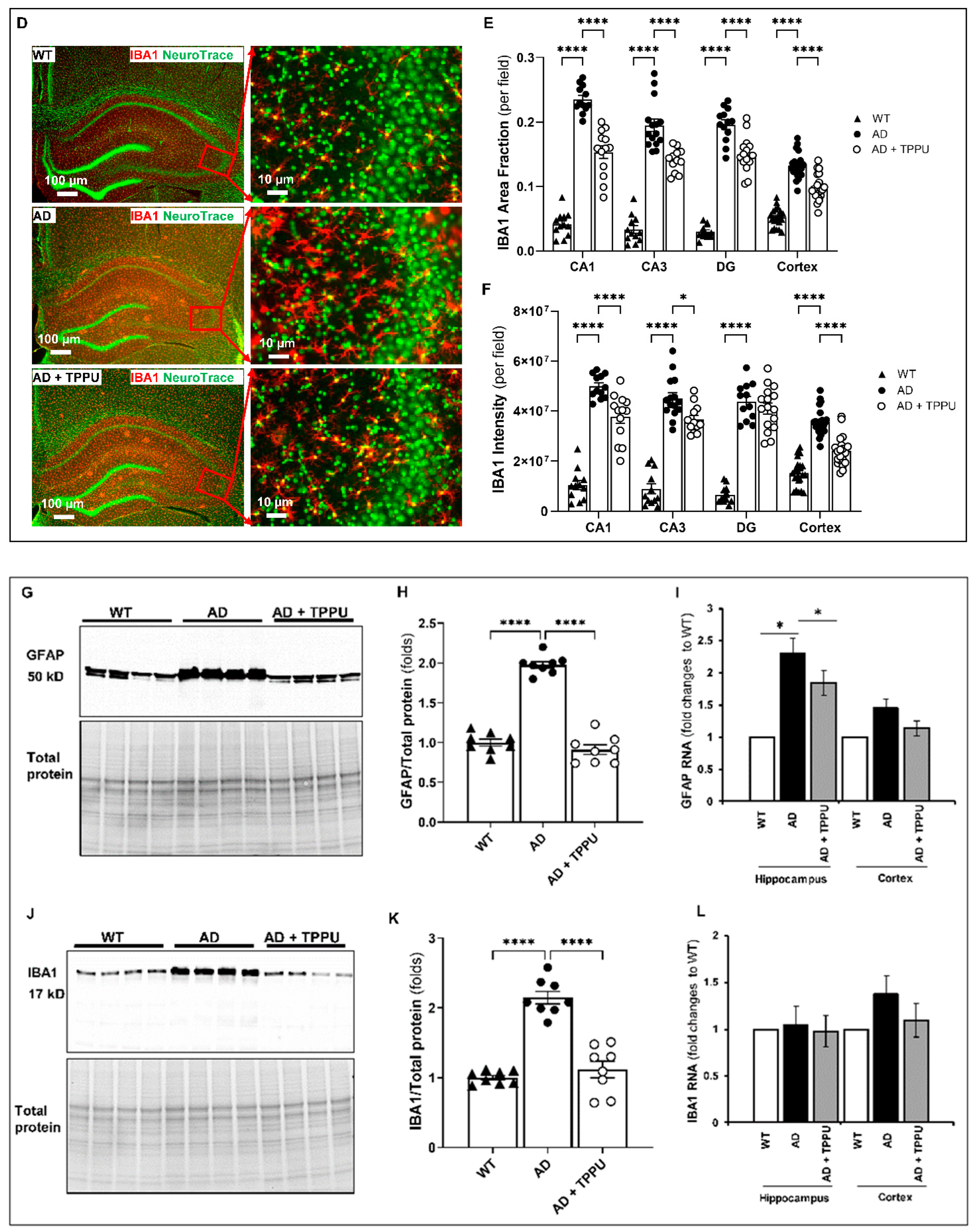 Ijms 26 02433 g006b Ijms 26 02433 g006b