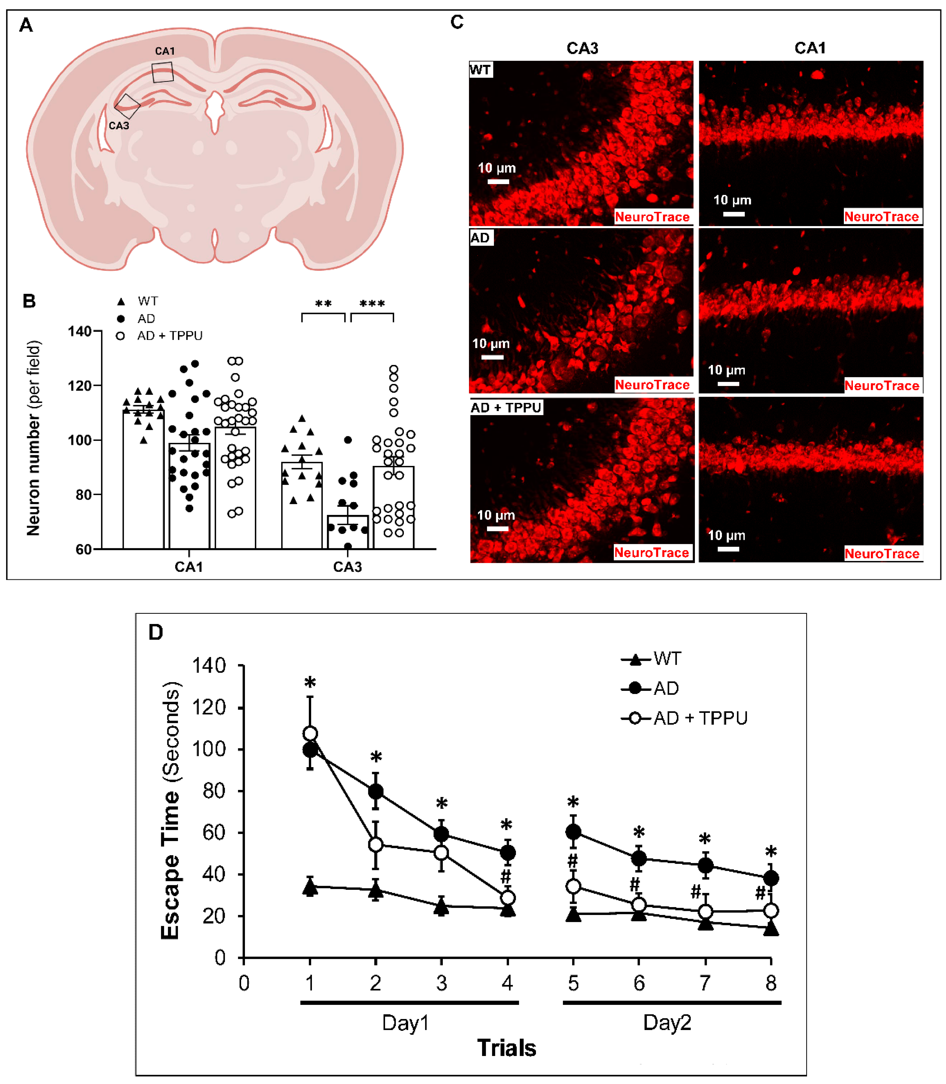 Ijms 26 02433 g008 Ijms 26 02433 g008