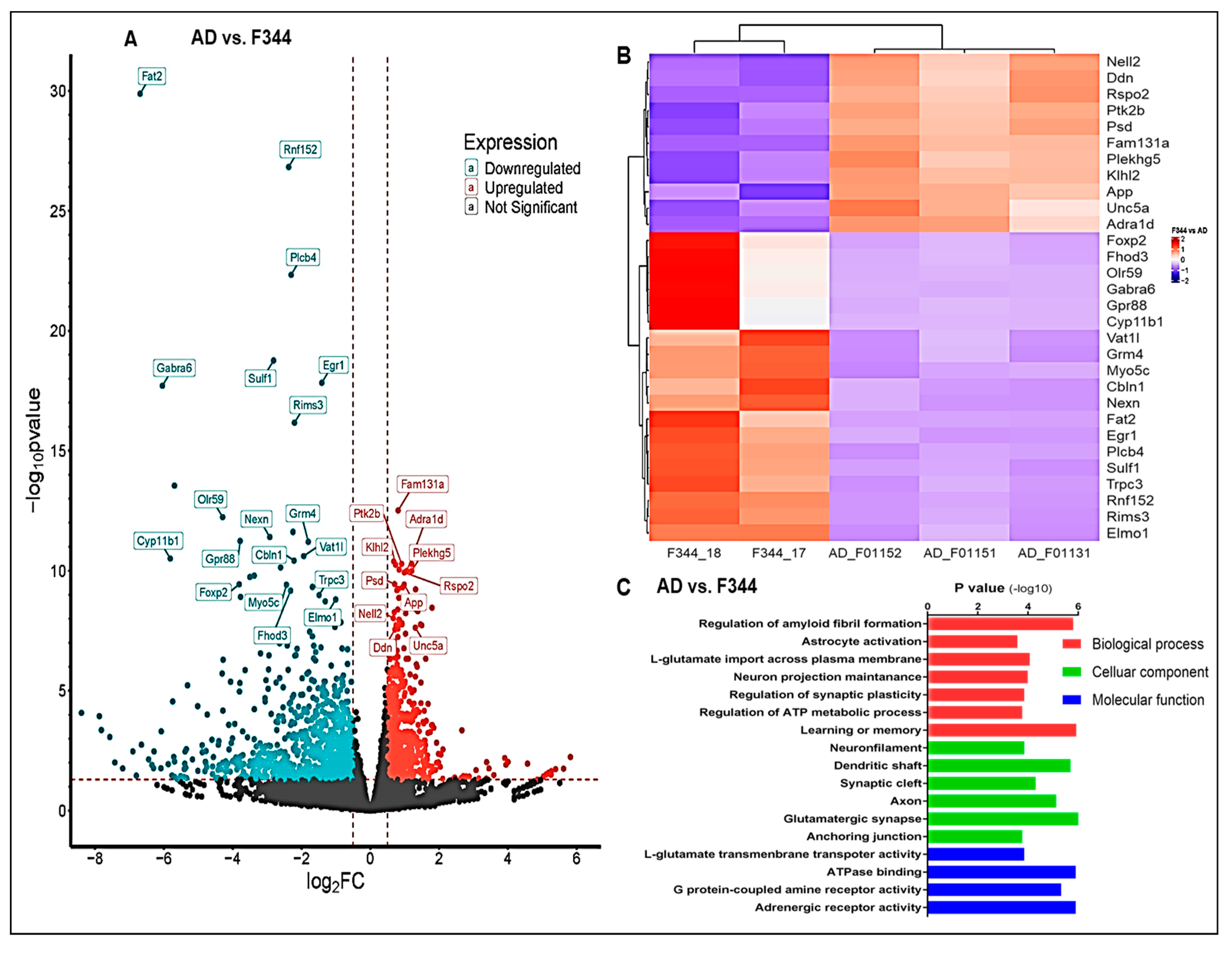 Ijms 26 02433 g009a Ijms 26 02433 g009a