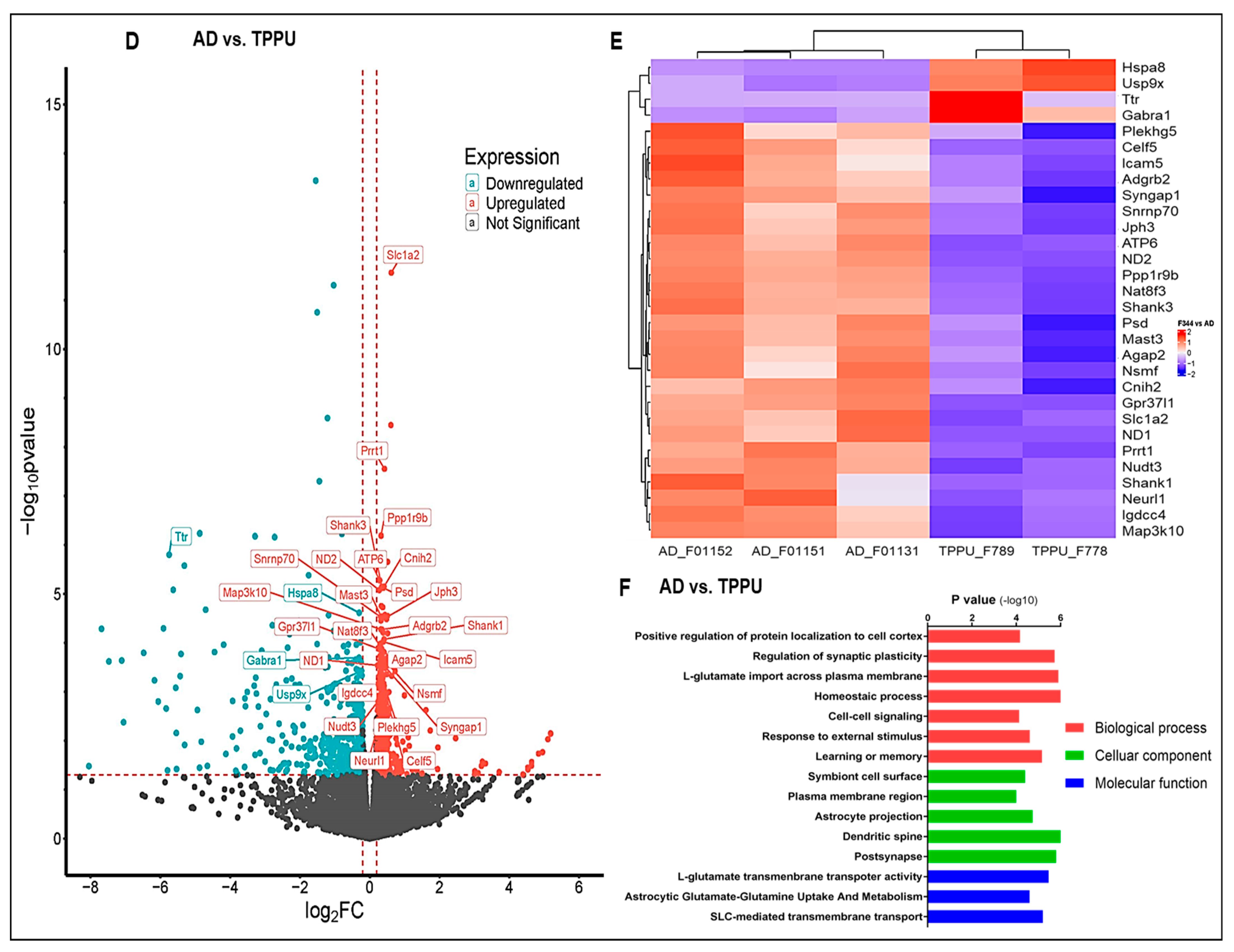 Ijms 26 02433 g009b Ijms 26 02433 g009b