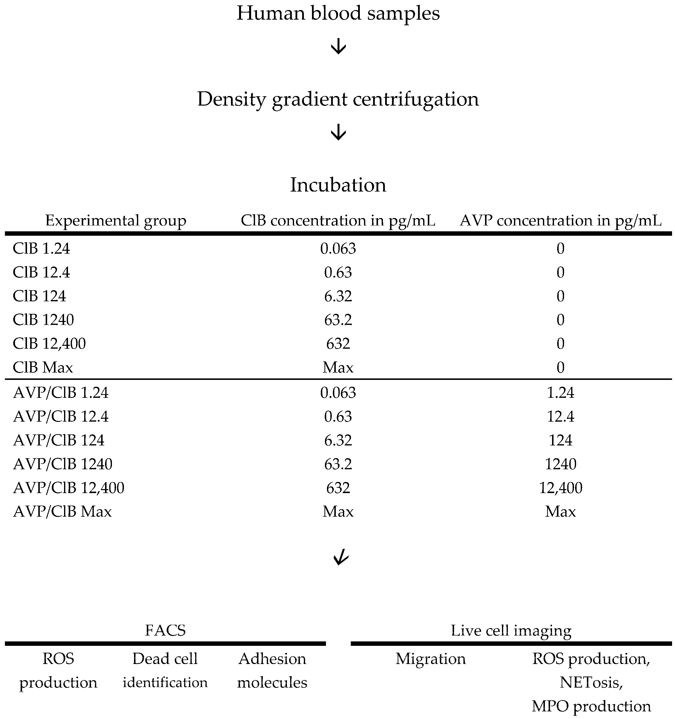Ijms 26 02512 g006 Ijms 26 02512 g006