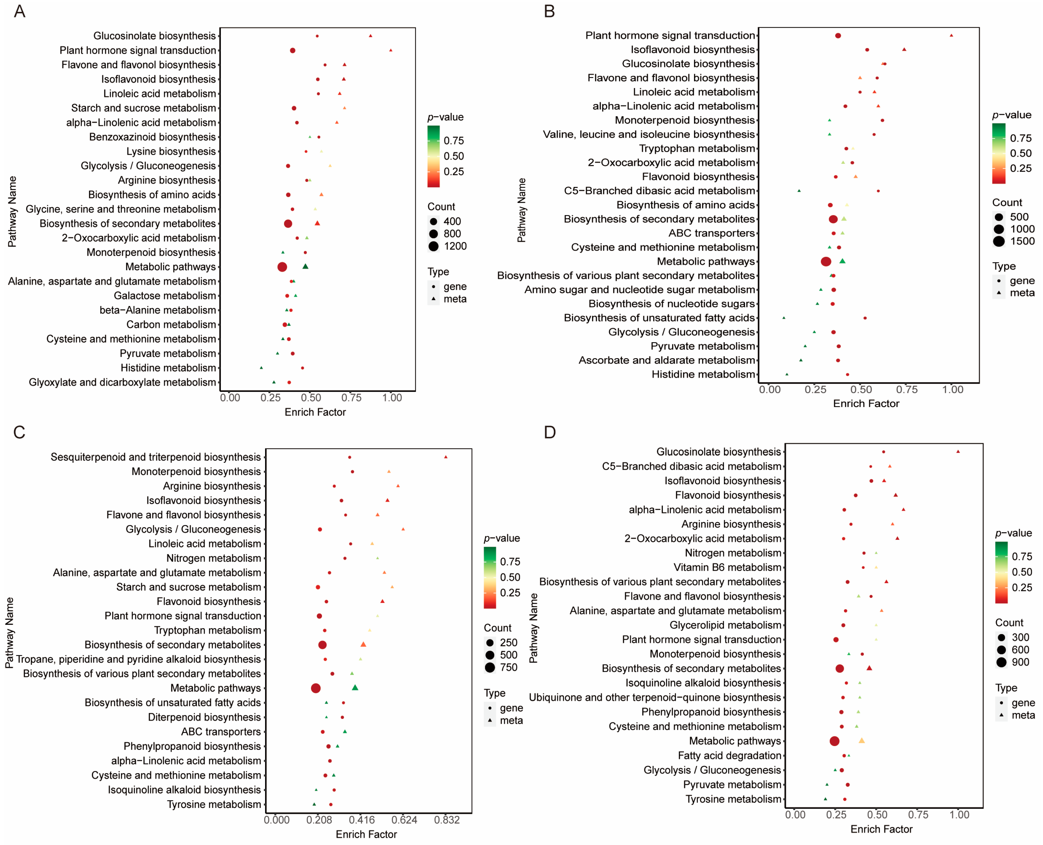 Ijms 26 02539 g006 Ijms 26 02539 g006