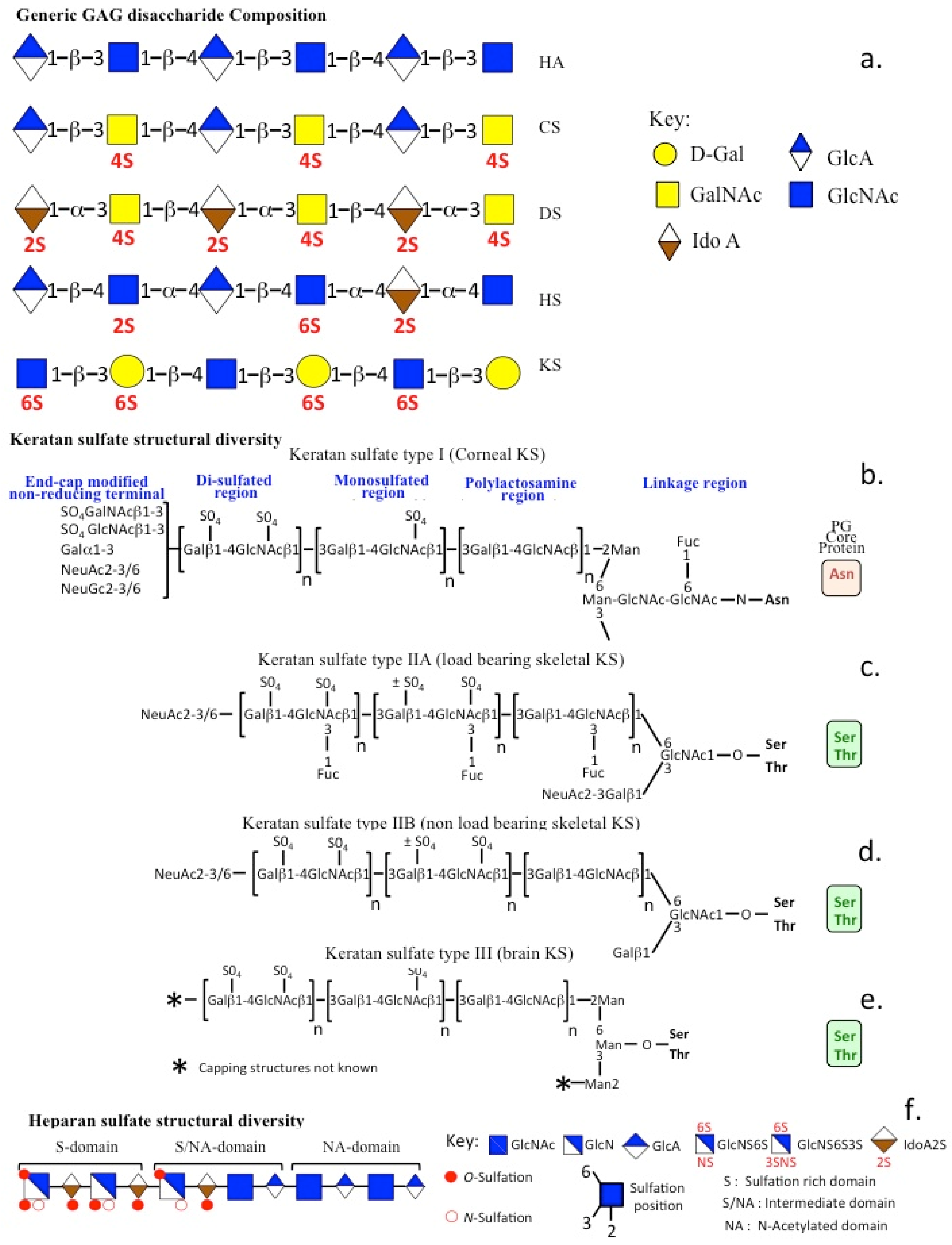 Ijms 26 02554 g001 Ijms 26 02554 g001