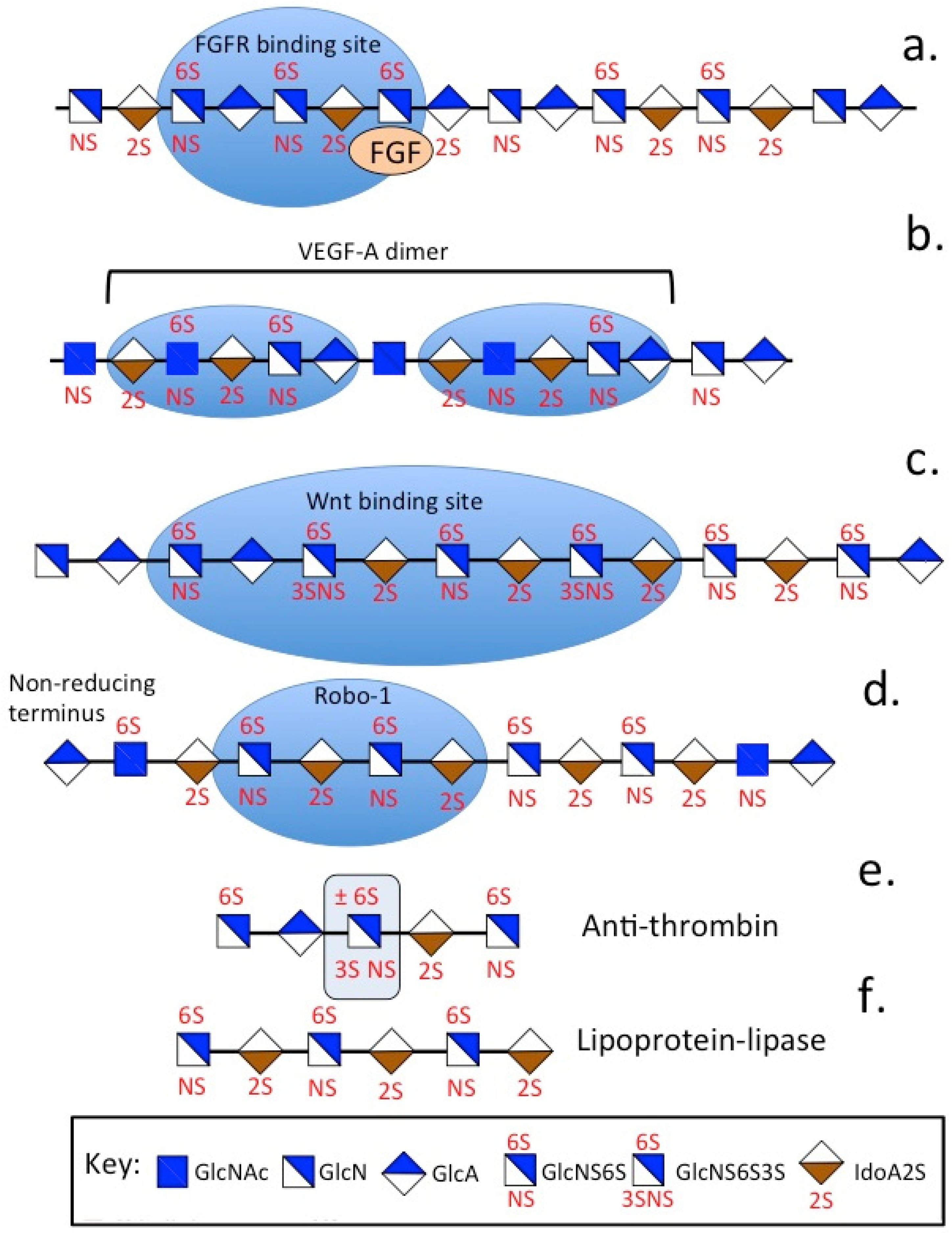 Ijms 26 02554 g002 Ijms 26 02554 g002