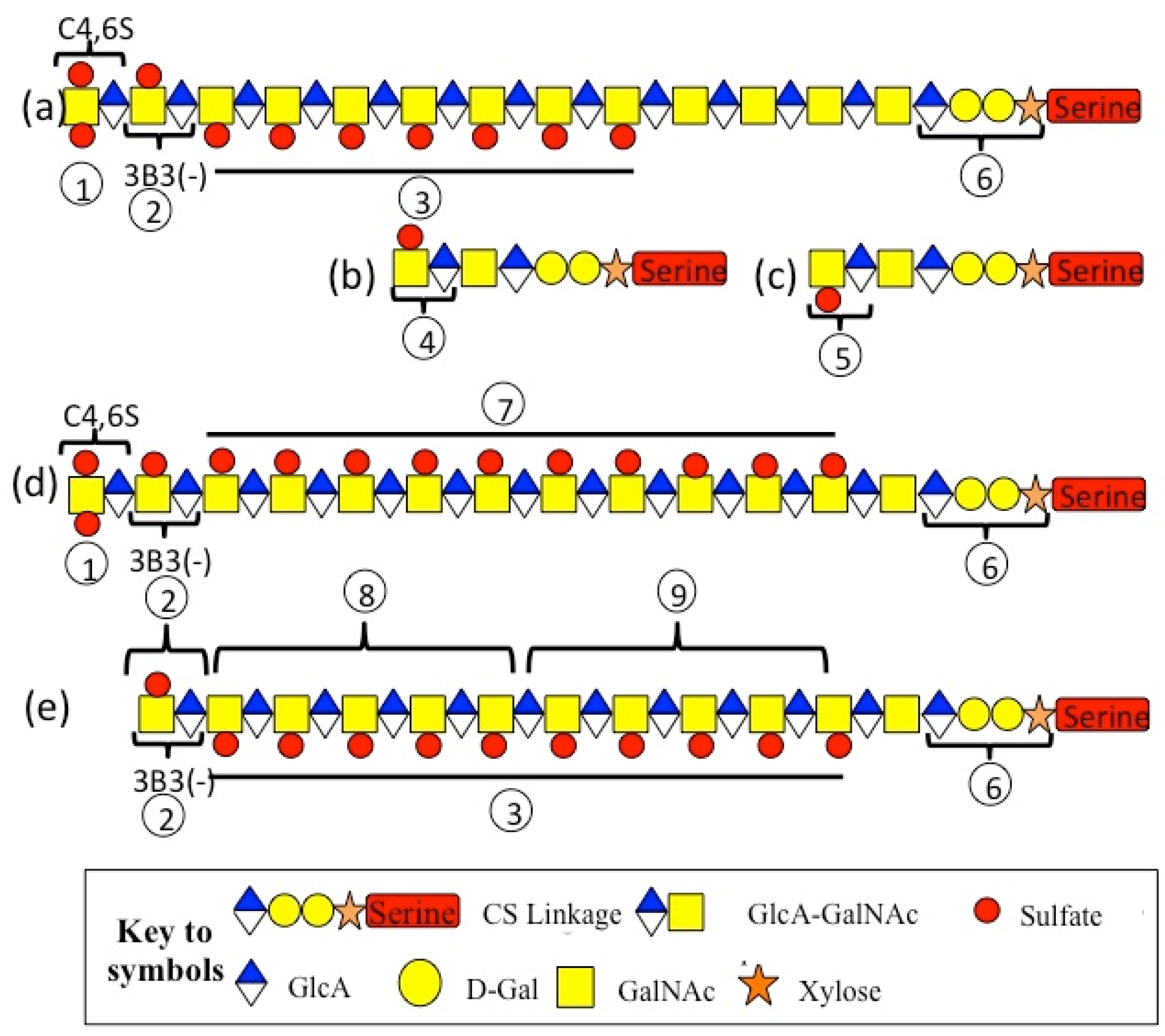 Ijms 26 02554 g003 Ijms 26 02554 g003