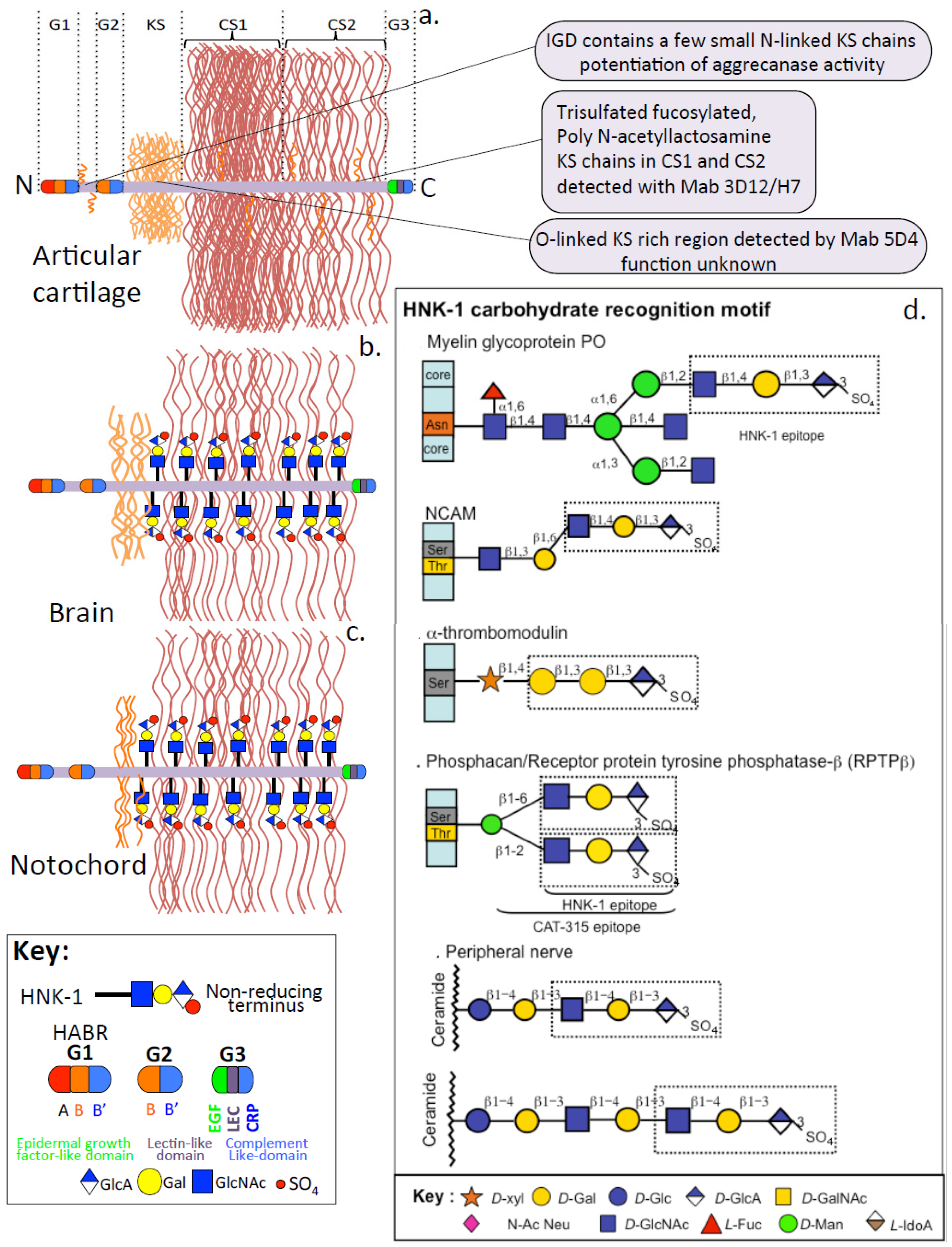Ijms 26 02554 g004 Ijms 26 02554 g004