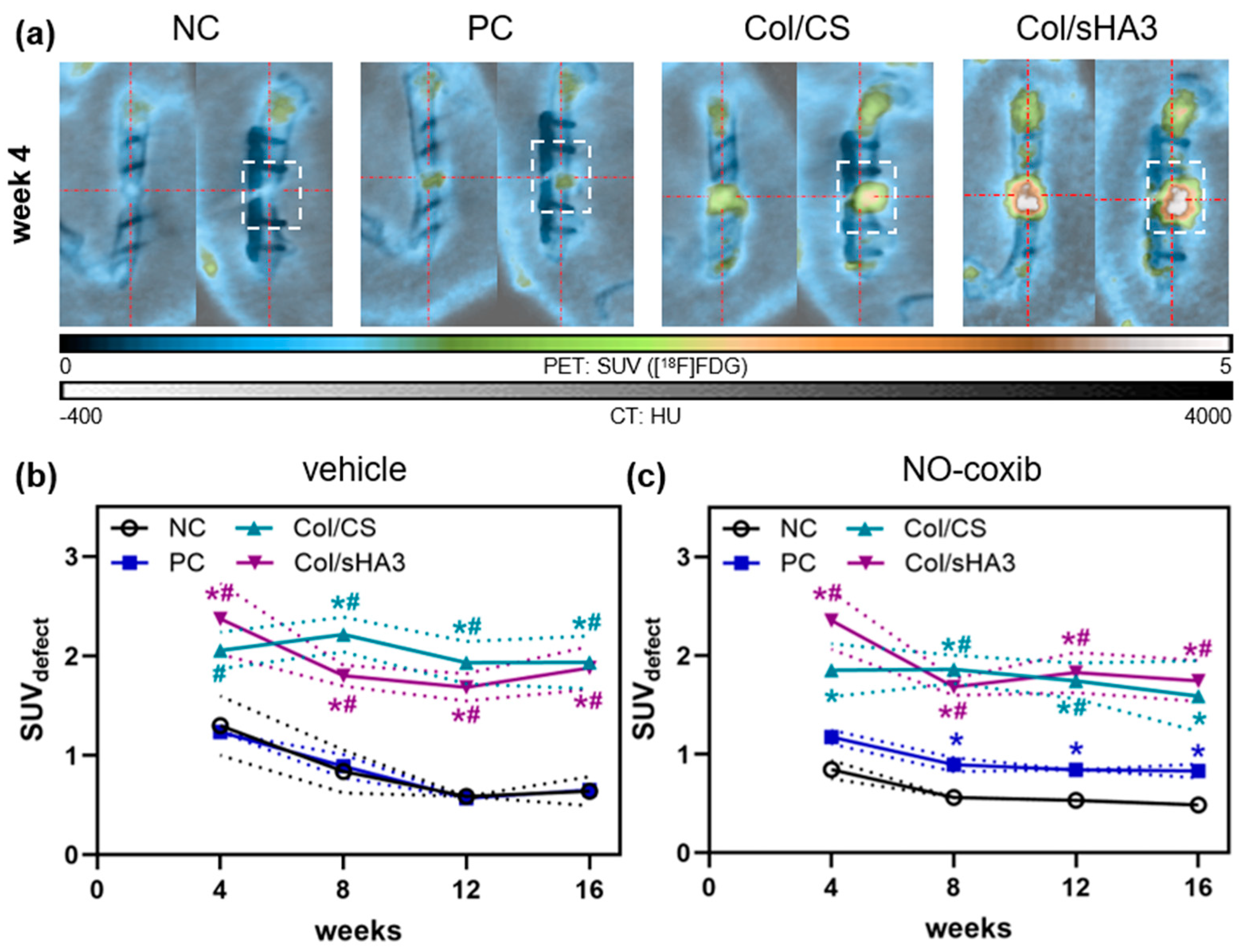 Ijms 26 02582 g001 Ijms 26 02582 g001