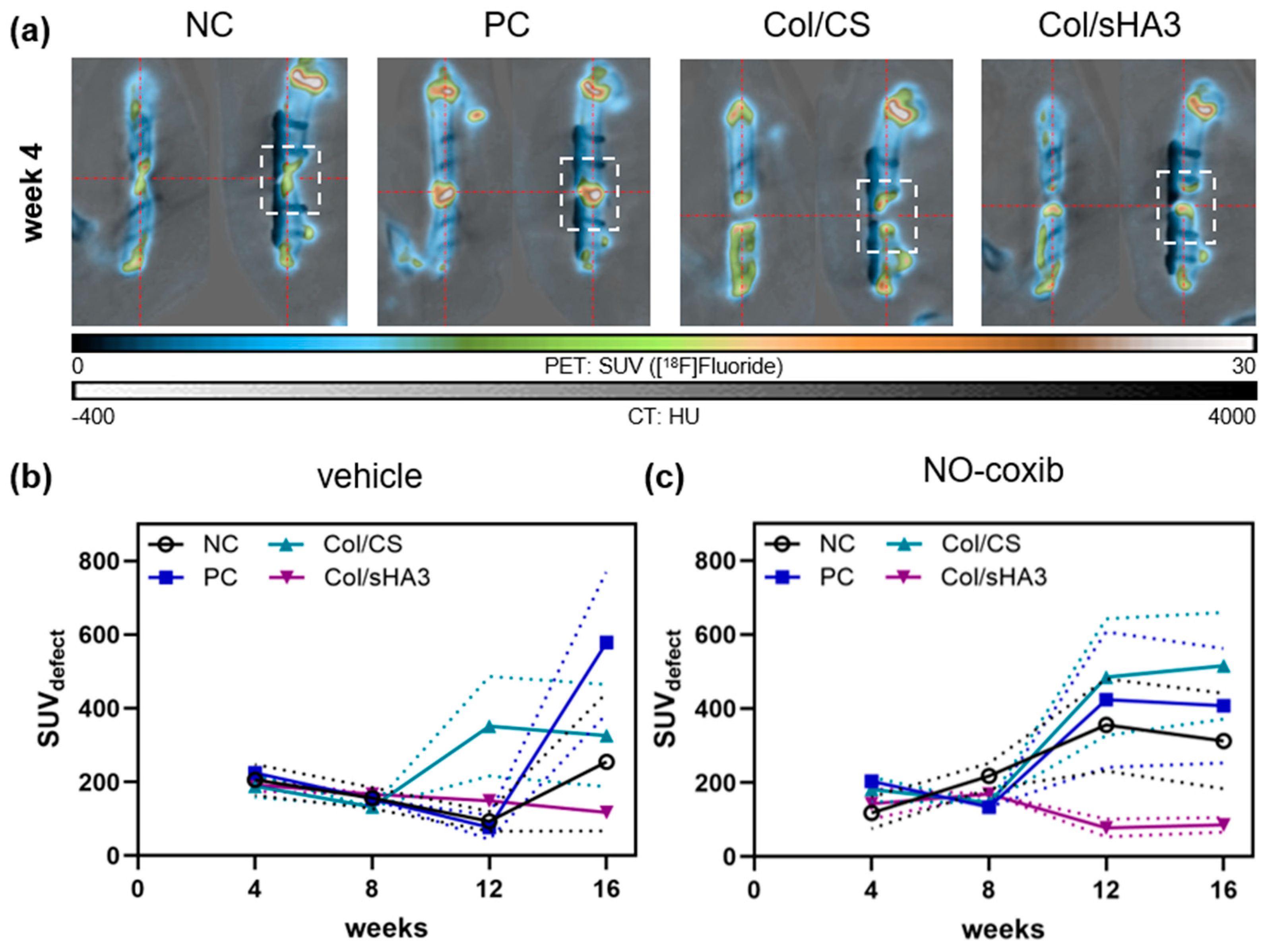 Ijms 26 02582 g002 Ijms 26 02582 g002
