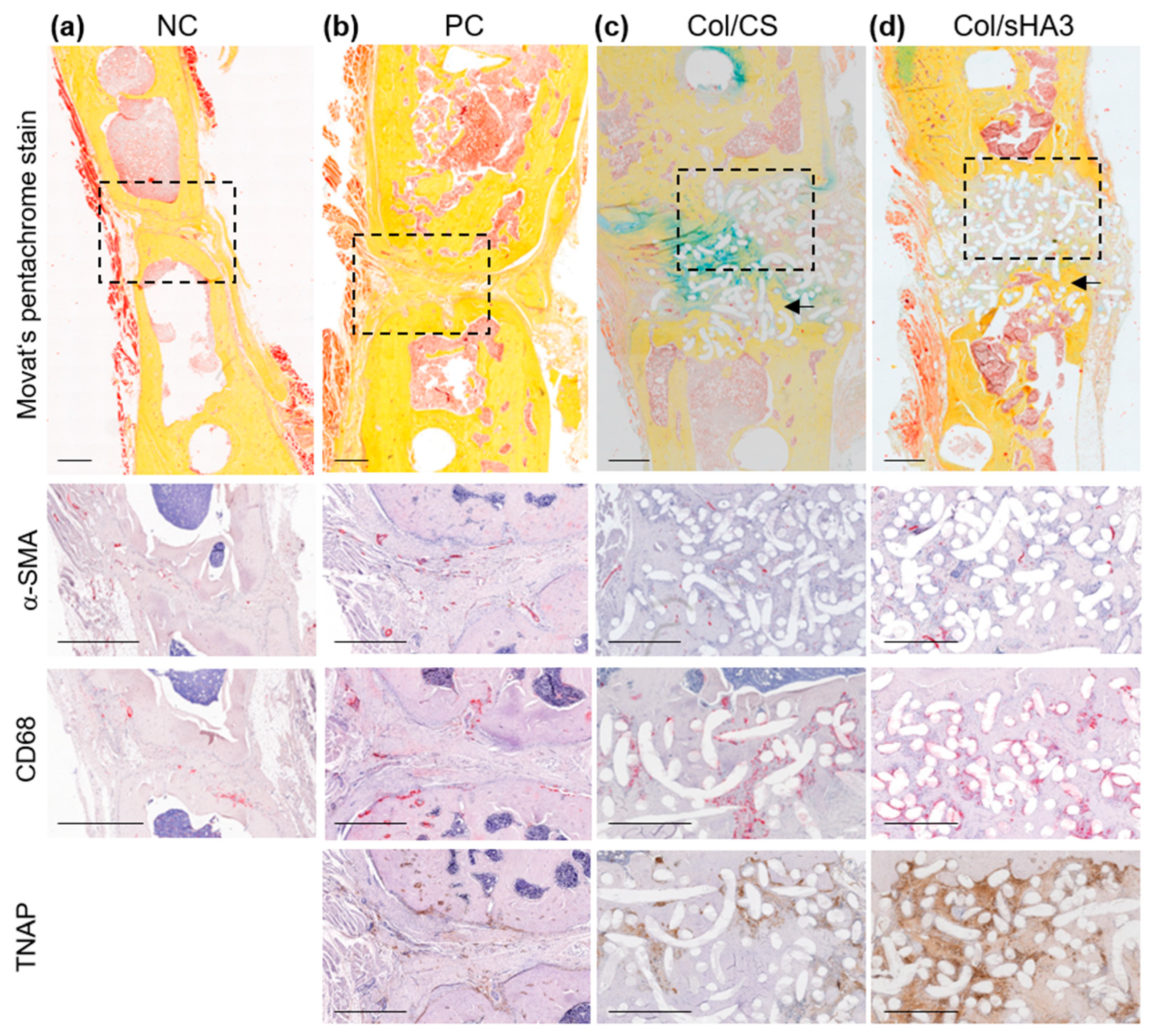 Ijms 26 02582 g004 Ijms 26 02582 g004