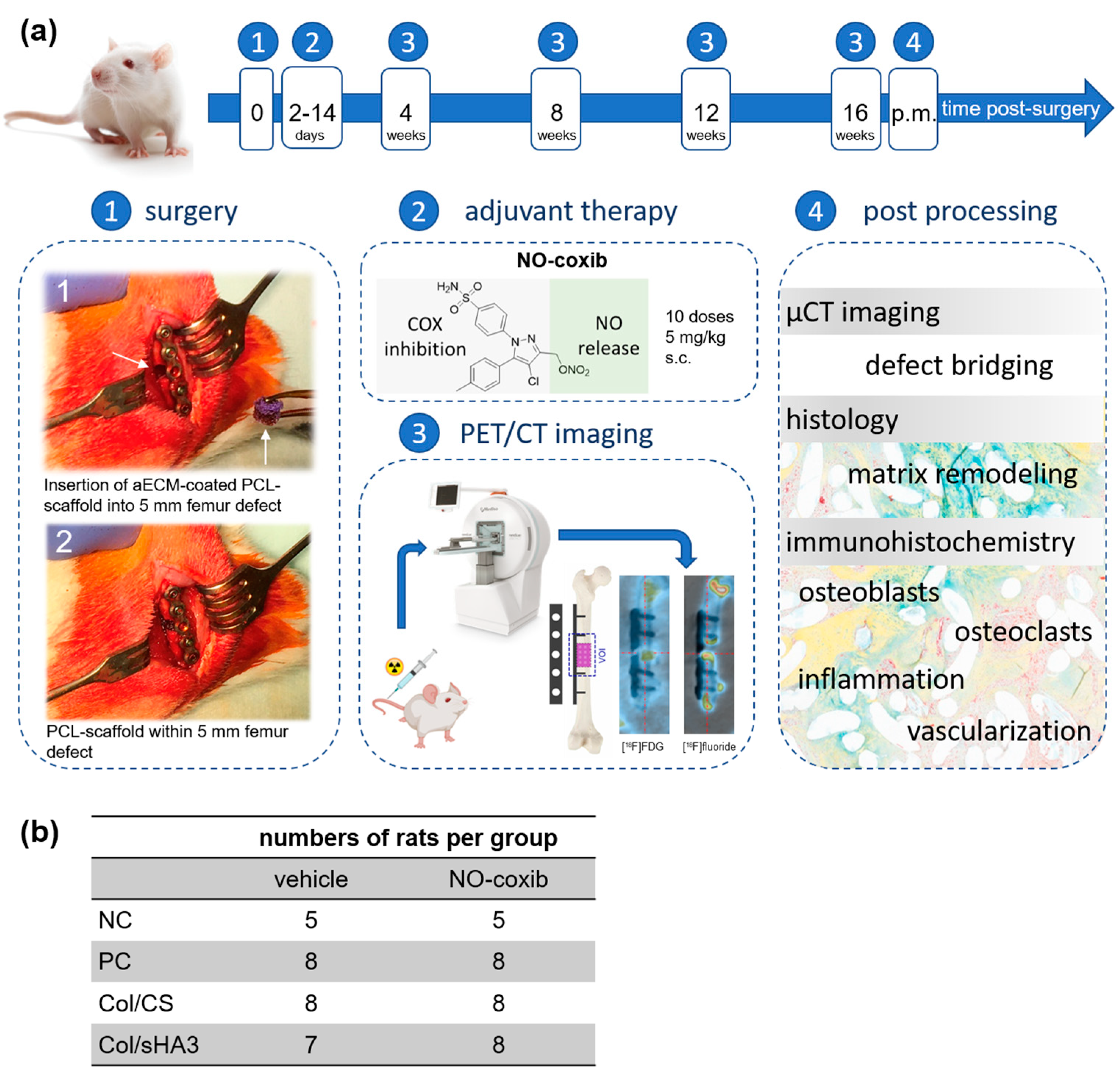 Ijms 26 02582 g006 Ijms 26 02582 g006