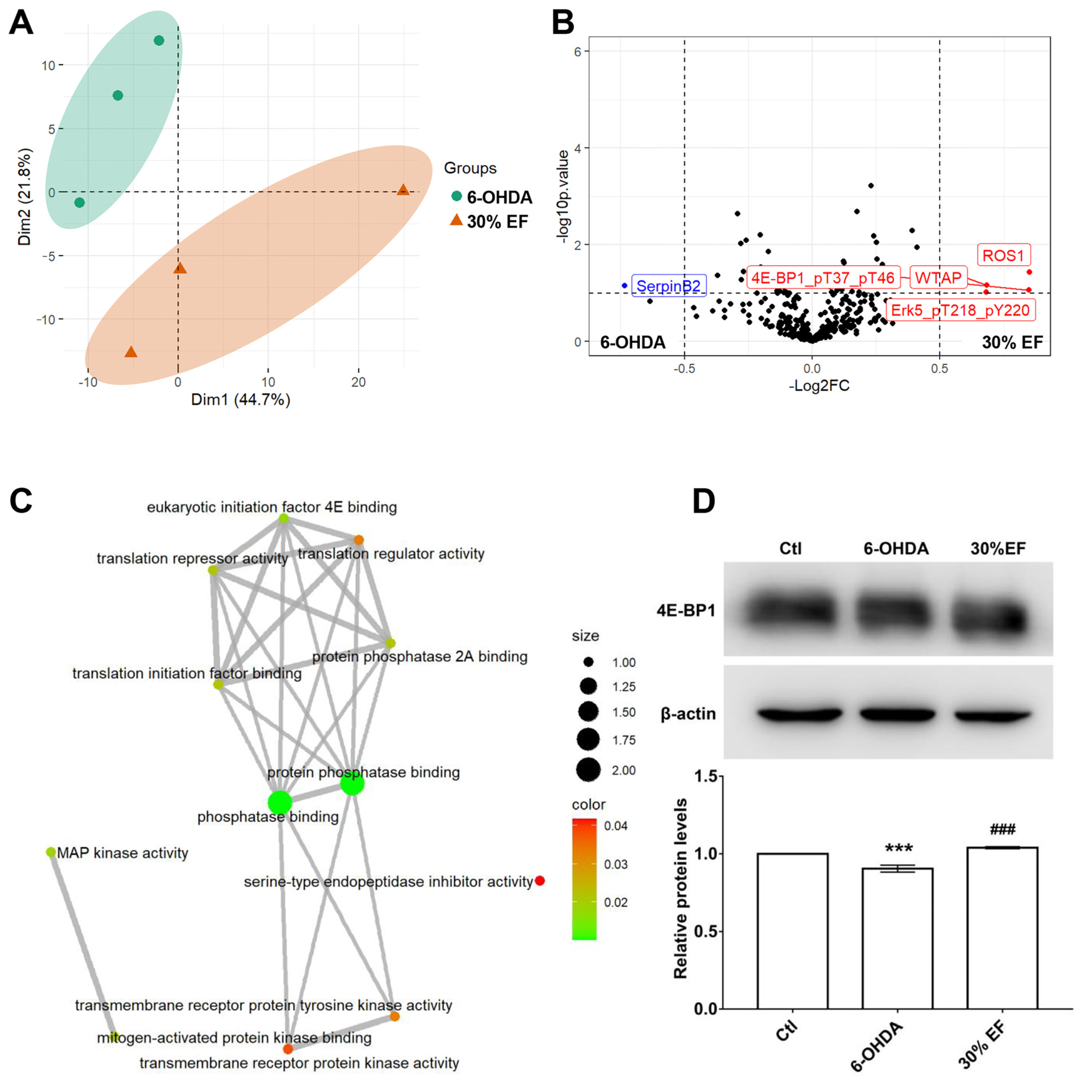 Ijms 26 02762 g006 Ijms 26 02762 g006
