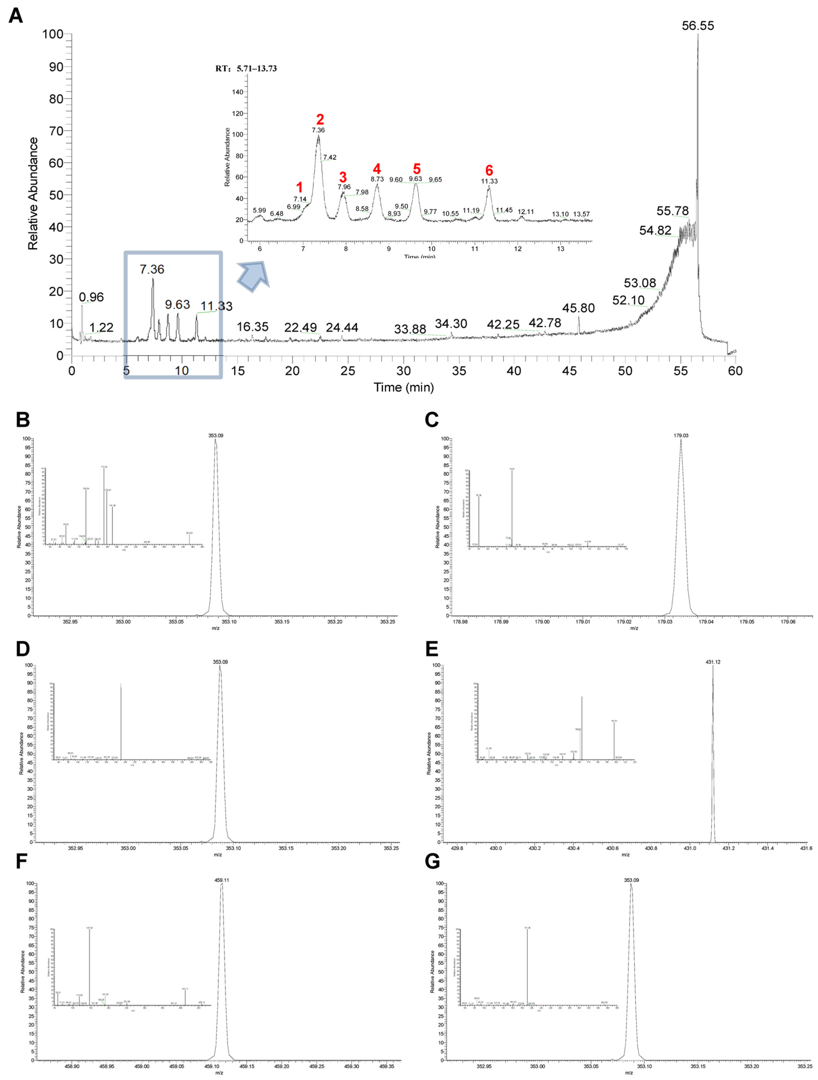 Ijms 26 02762 g007 Ijms 26 02762 g007