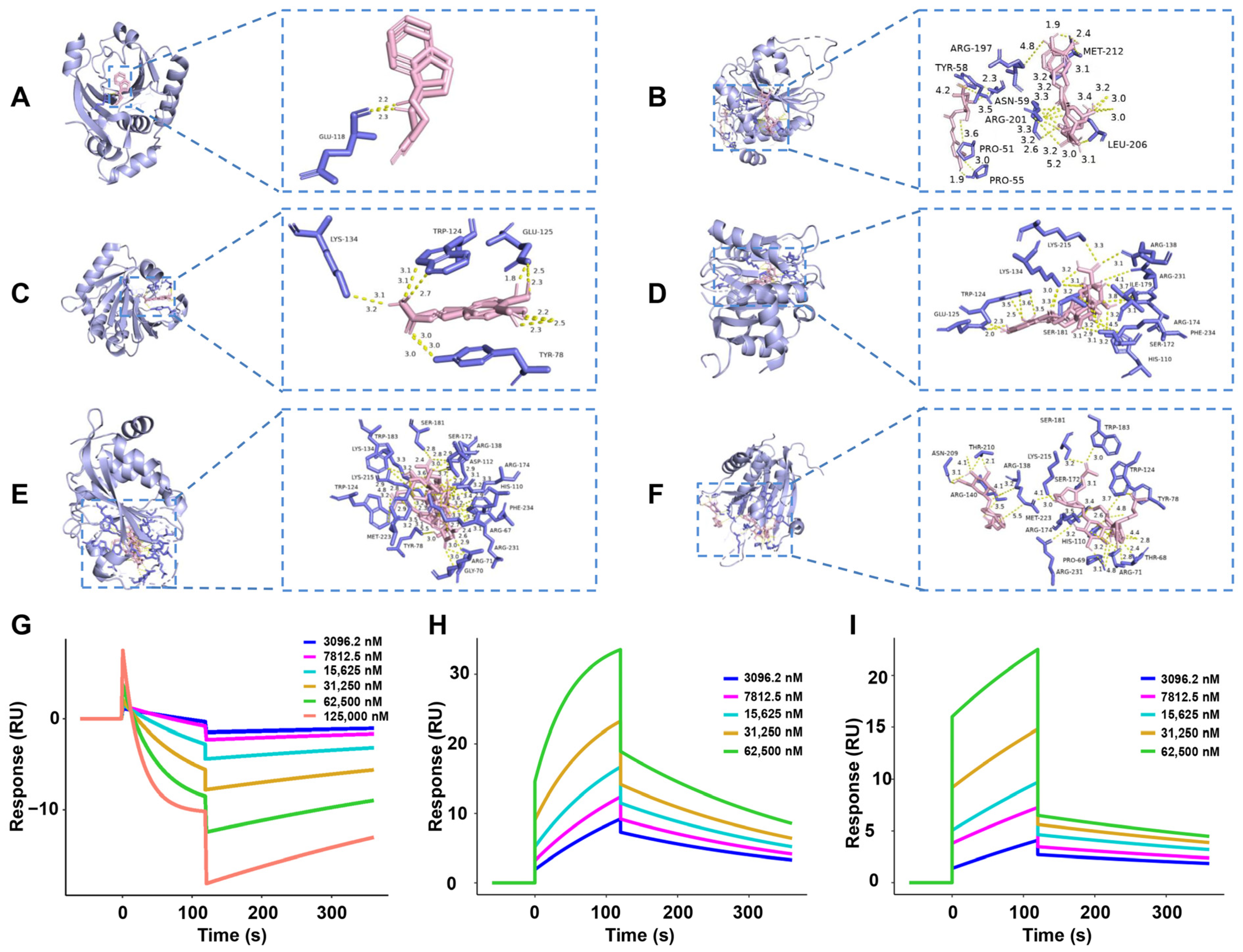 Ijms 26 02762 g008 Ijms 26 02762 g008