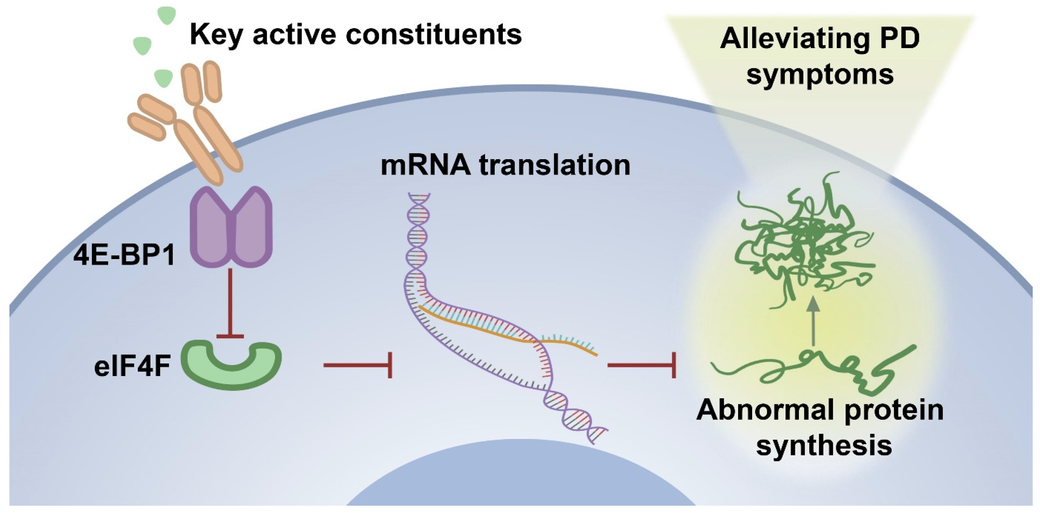 Ijms 26 02762 g010 Ijms 26 02762 g010