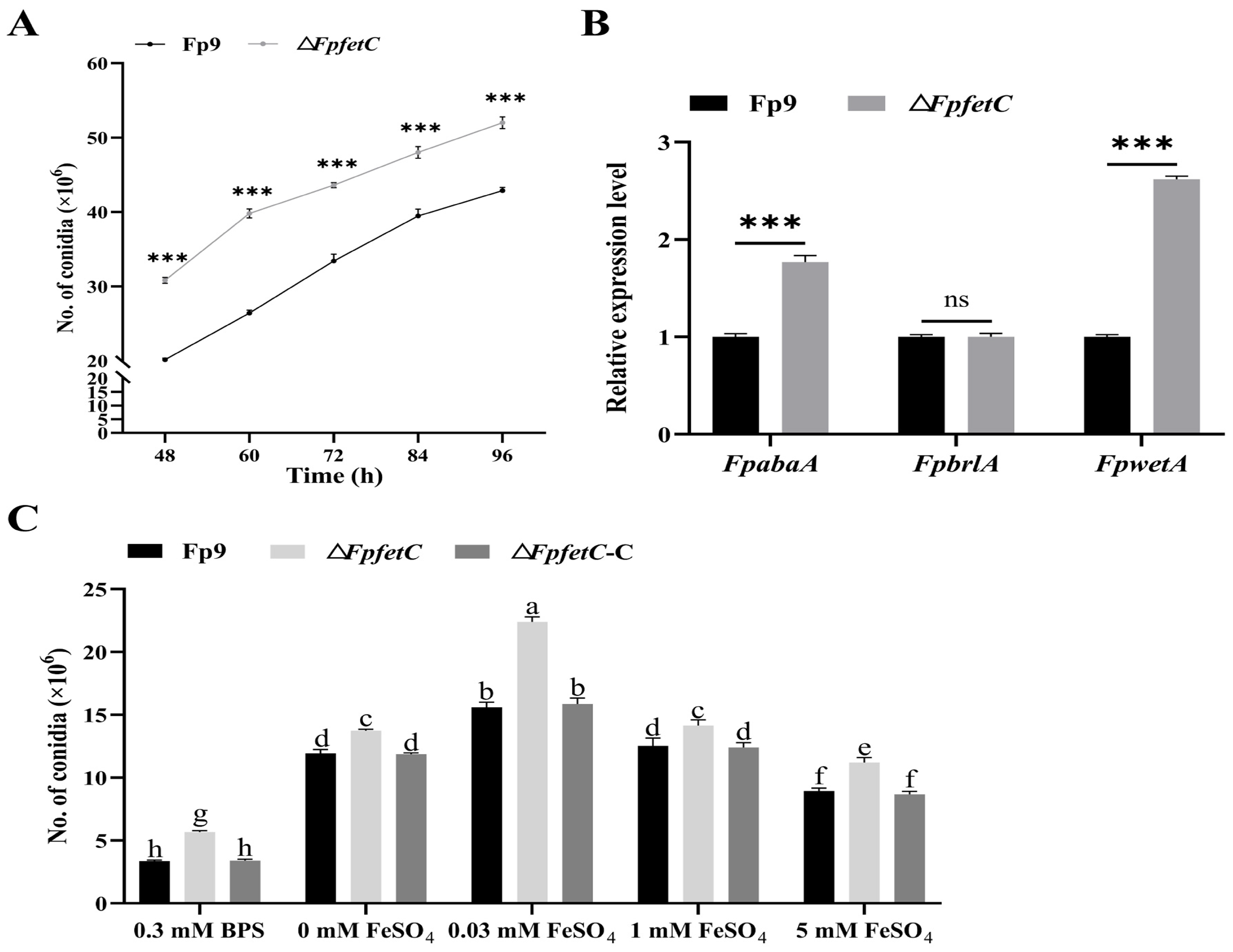 Ijms 26 02883 g003 Ijms 26 02883 g003