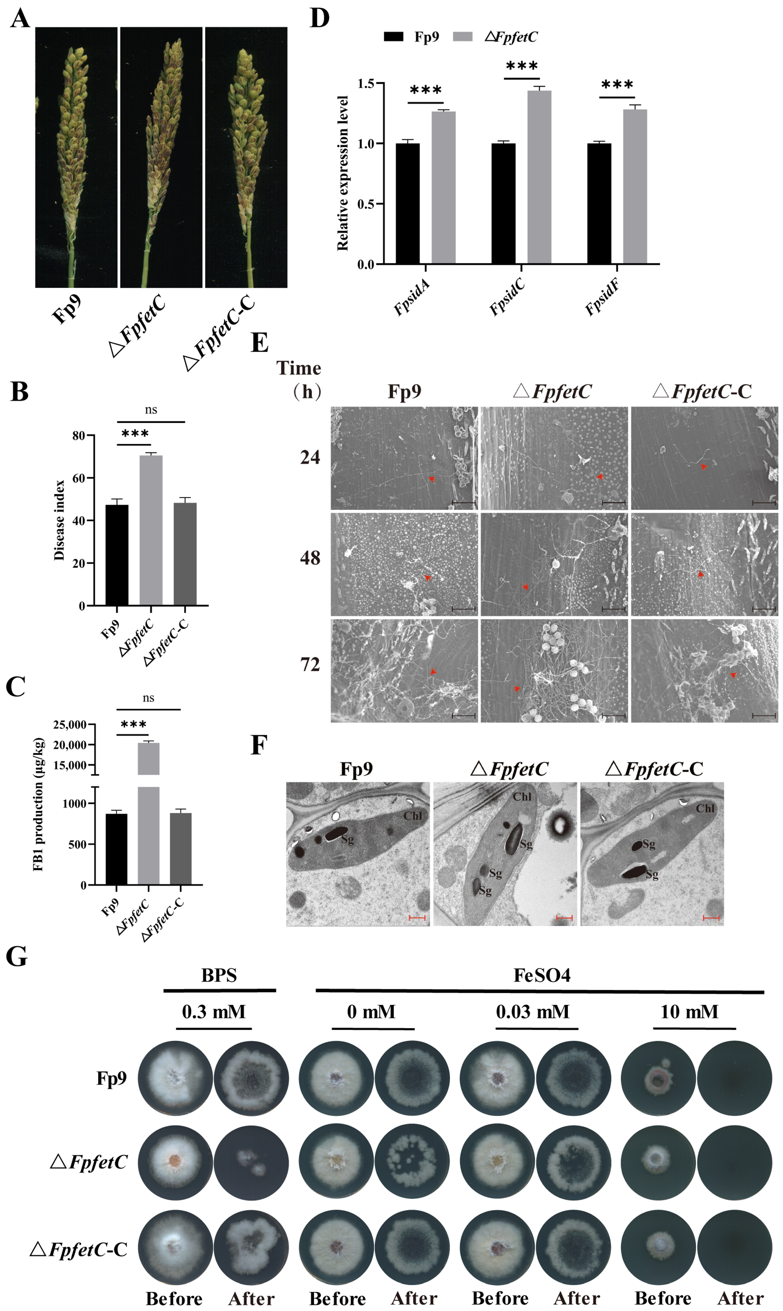 Ijms 26 02883 g007 Ijms 26 02883 g007