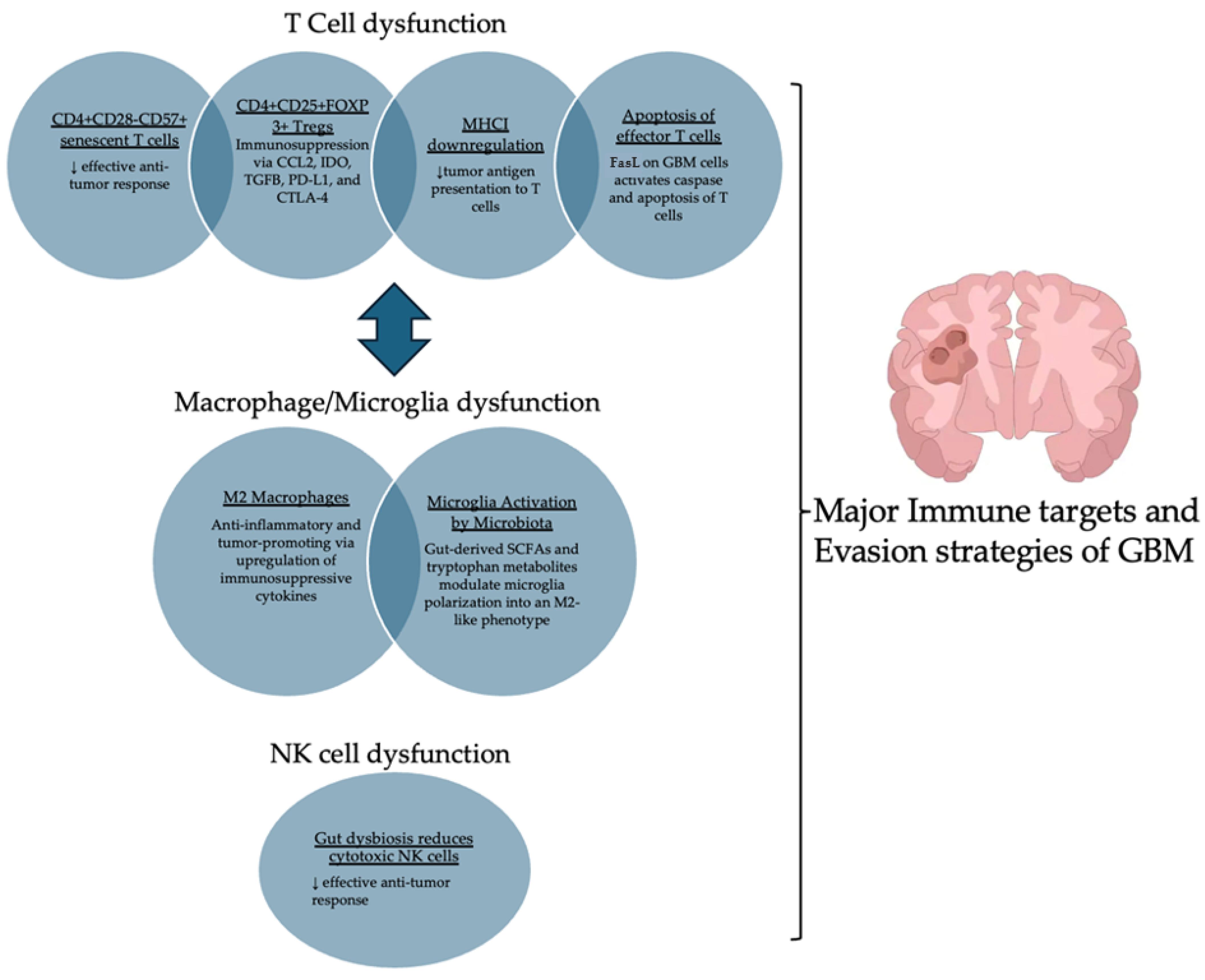 Ijms 26 02935 g001 Ijms 26 02935 g001