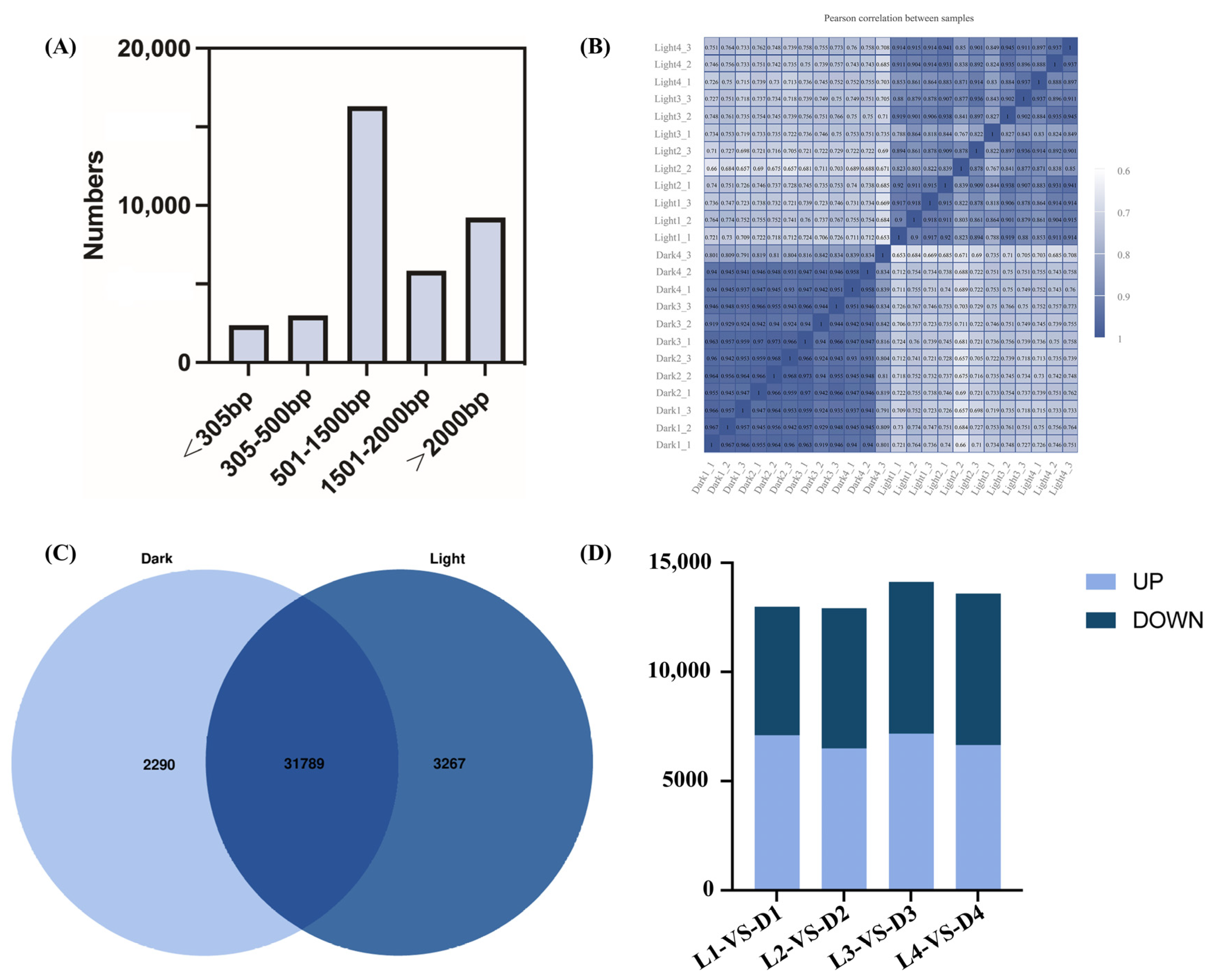 Ijms 26 02992 g004 Ijms 26 02992 g004