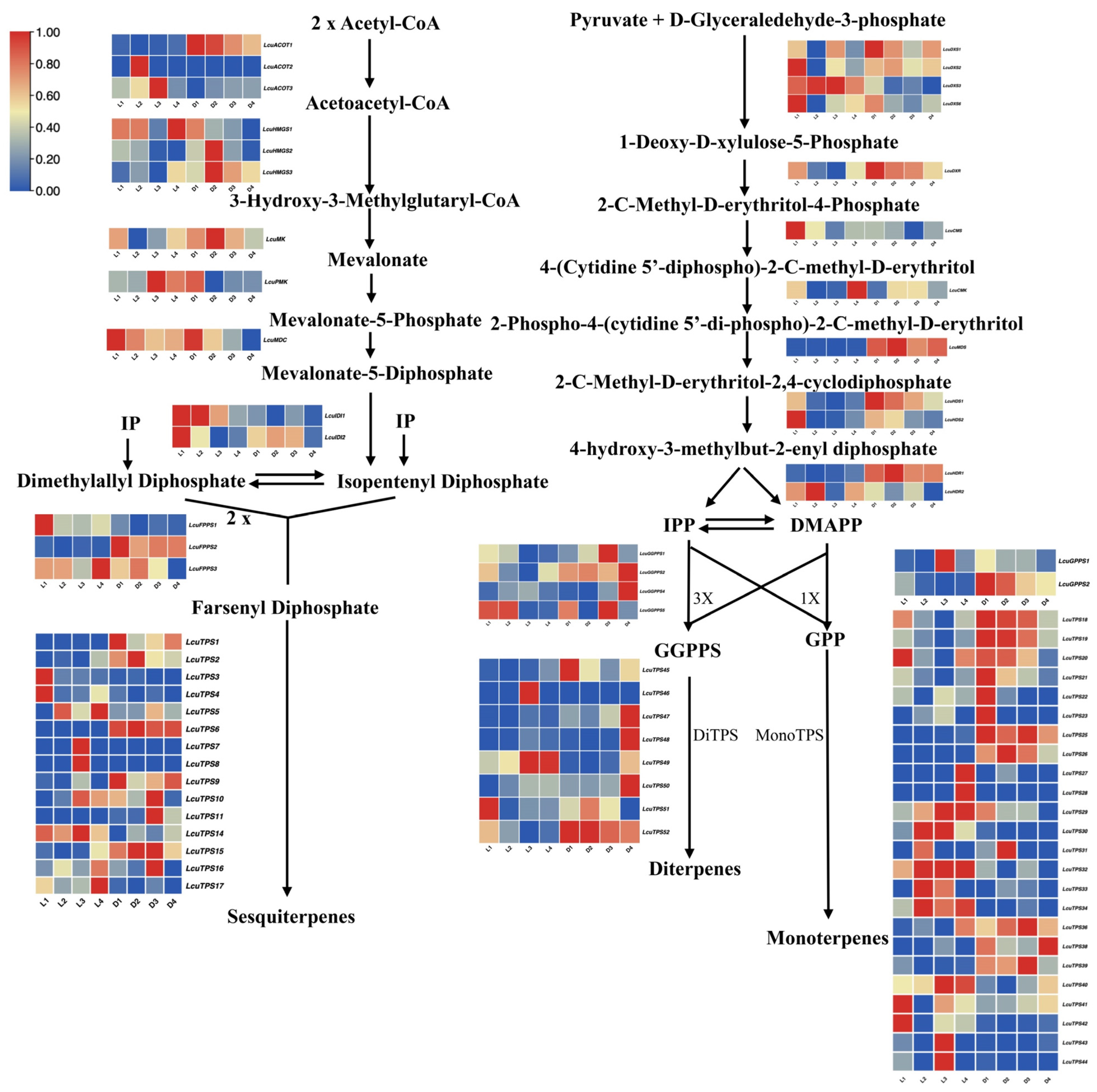 Ijms 26 02992 g007 Ijms 26 02992 g007