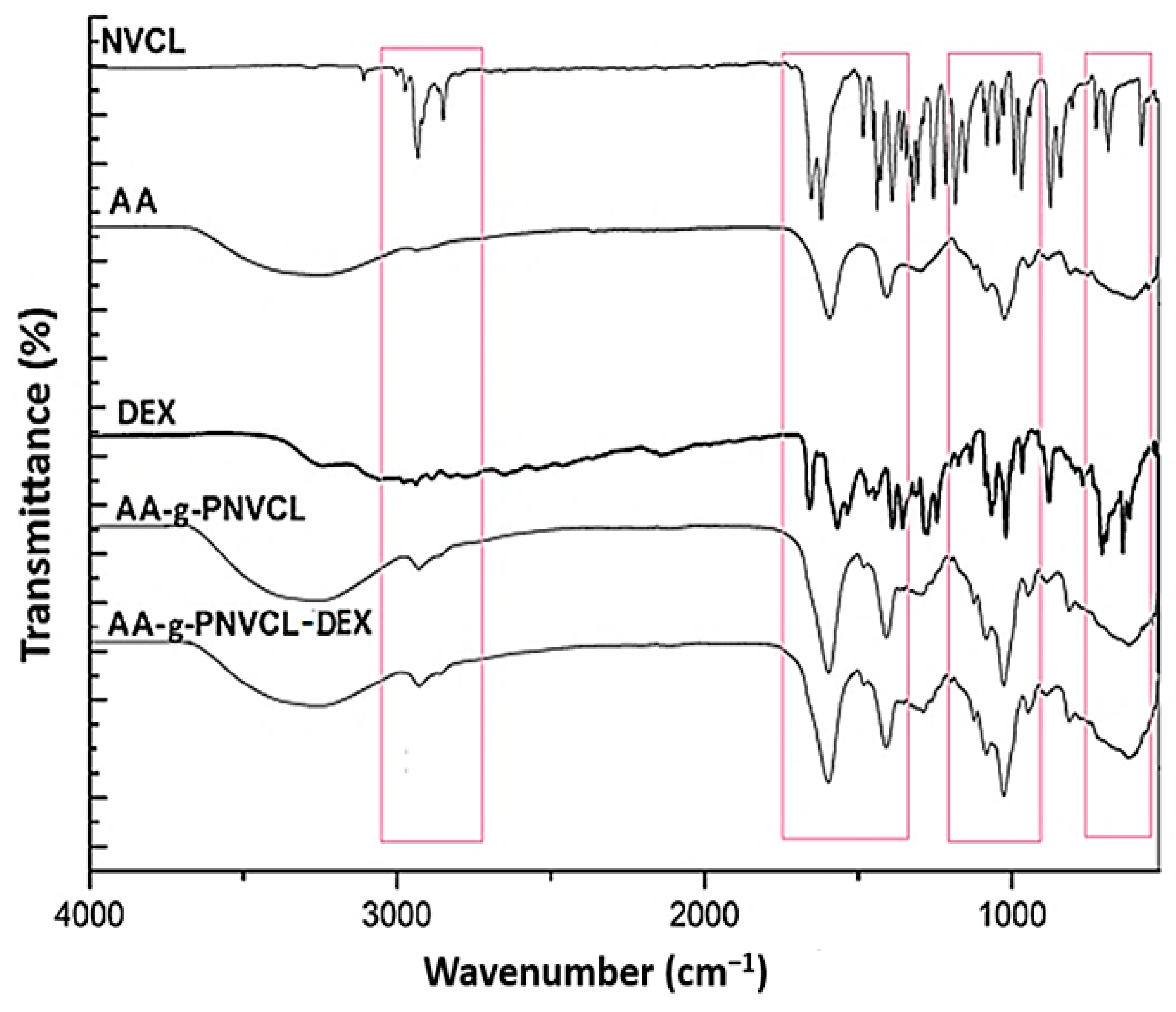 Ijms 26 03051 g002 Ijms 26 03051 g002