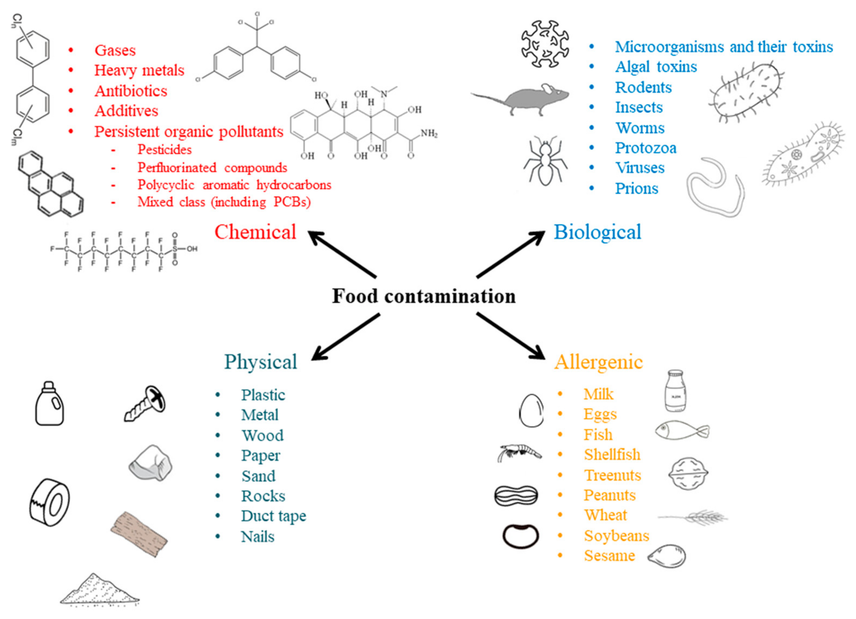 Ijms 26 03091 g001 Ijms 26 03091 g001