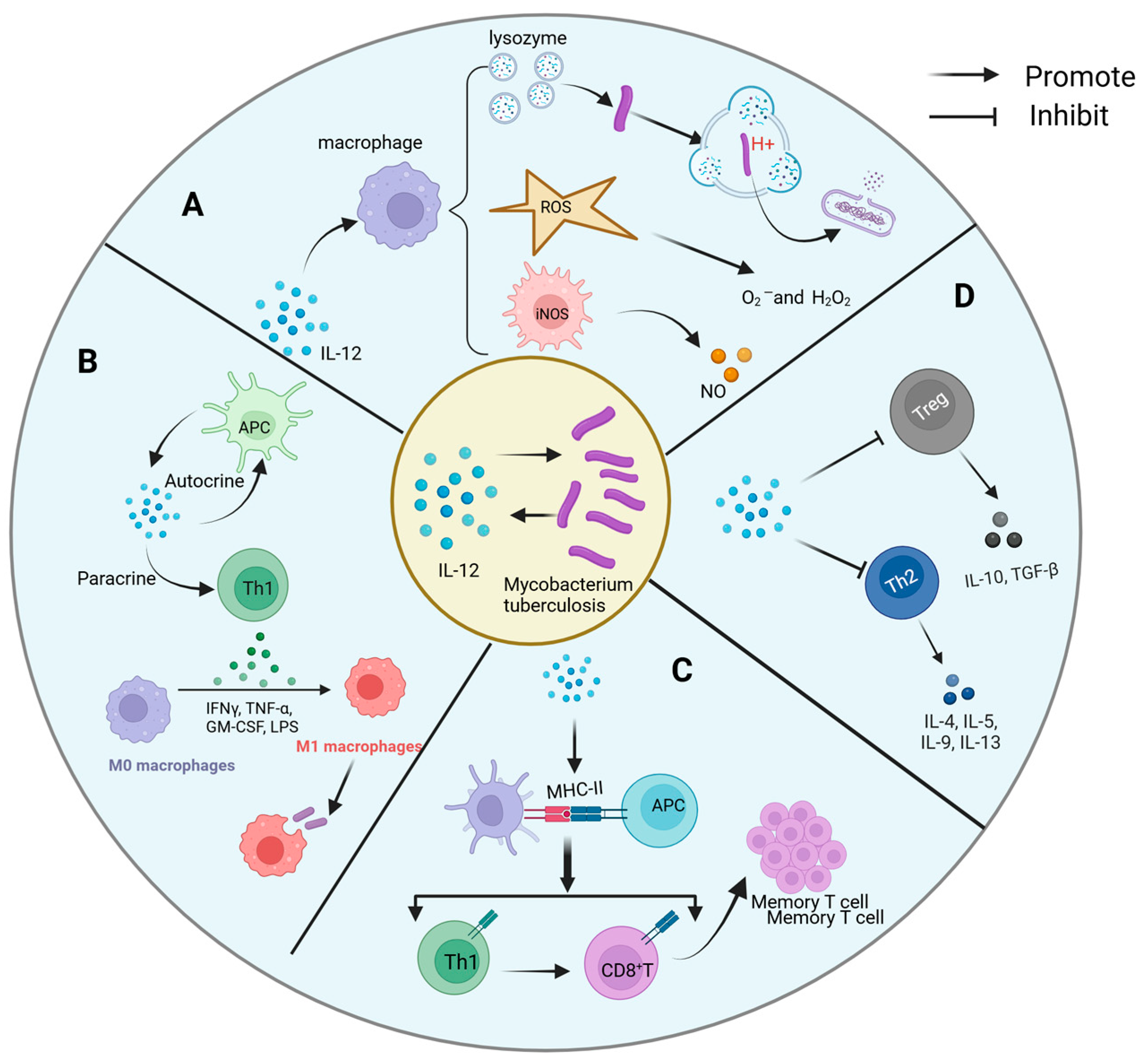 Ijms 26 03106 g003 Ijms 26 03106 g003