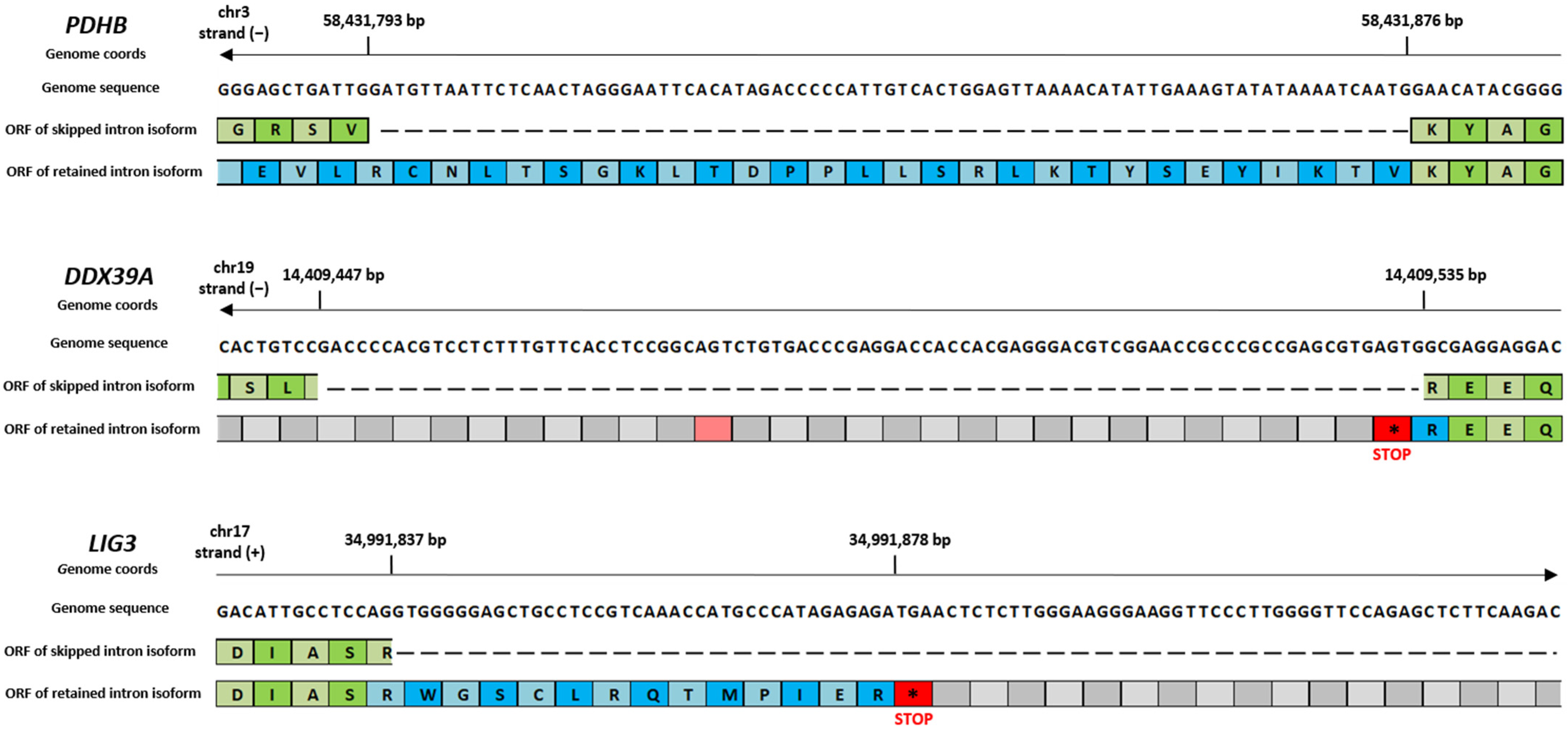 Ijms 26 03113 g006 Ijms 26 03113 g006