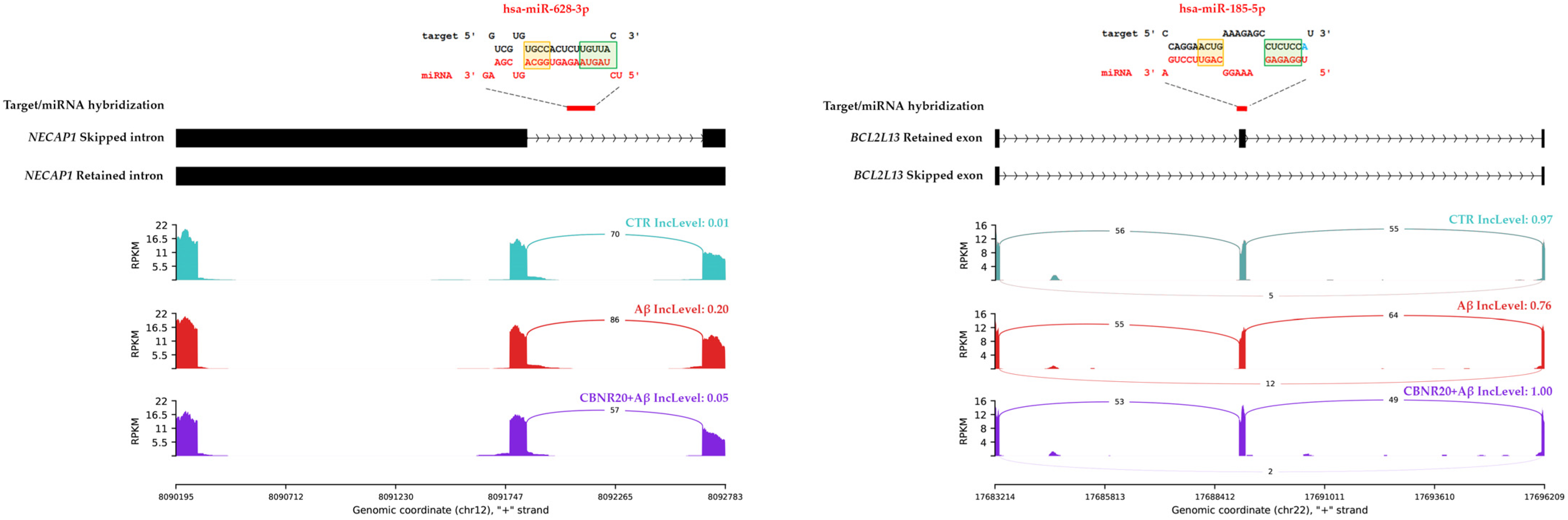 Ijms 26 03113 g007 Ijms 26 03113 g007