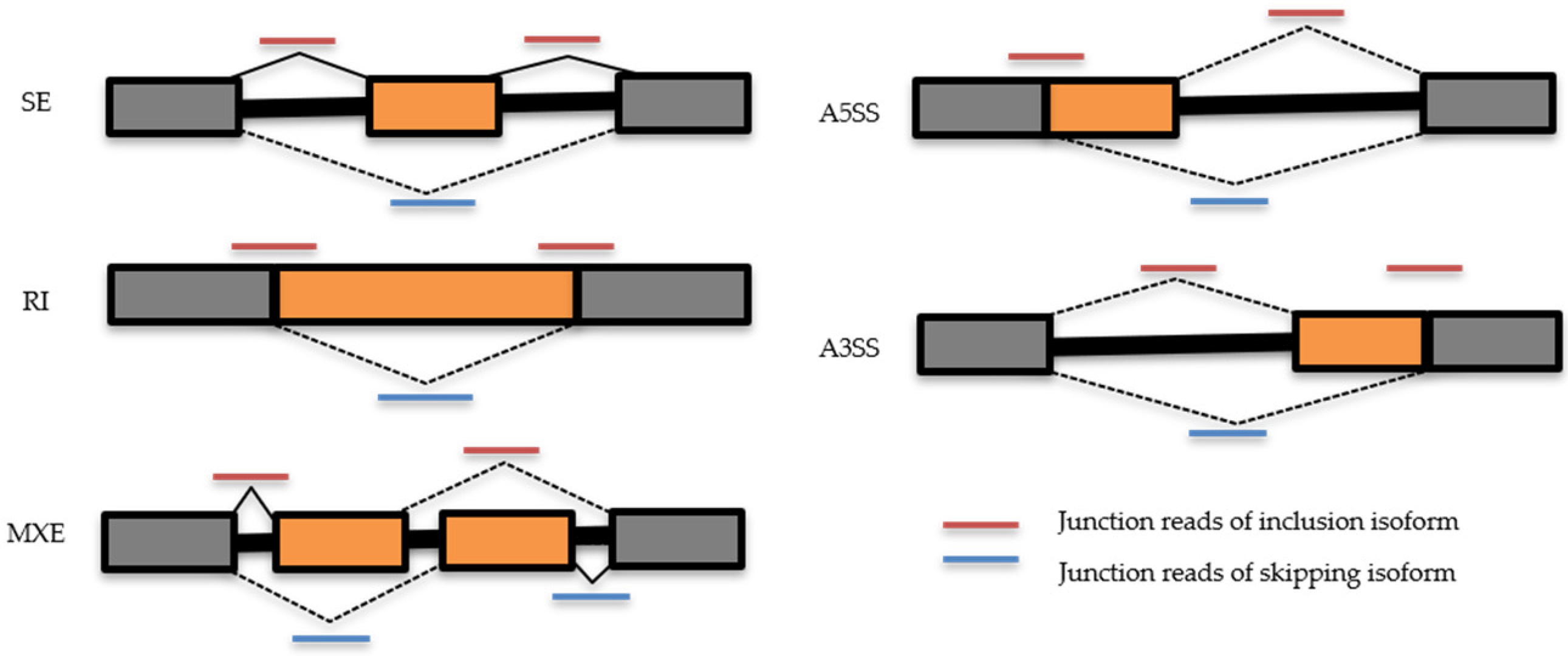 Ijms 26 03113 g008 Ijms 26 03113 g008