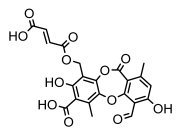 Ijms 26 03136 i065 Ijms 26 03136 i065