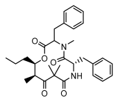 Ijms 26 03136 i098 Ijms 26 03136 i098