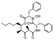 Ijms 26 03136 i099 Ijms 26 03136 i099