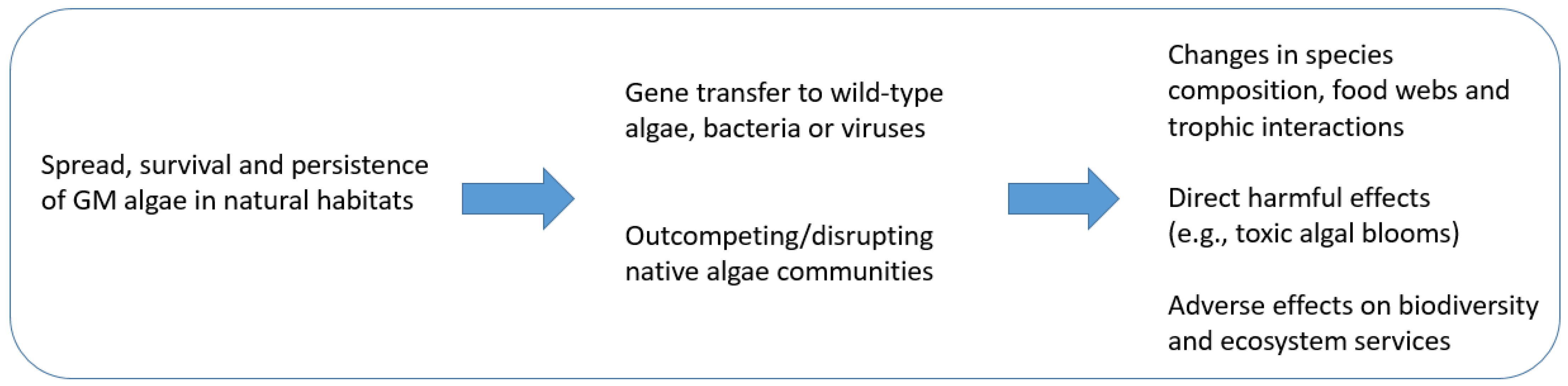 Ijms 26 03174 g001 Ijms 26 03174 g001