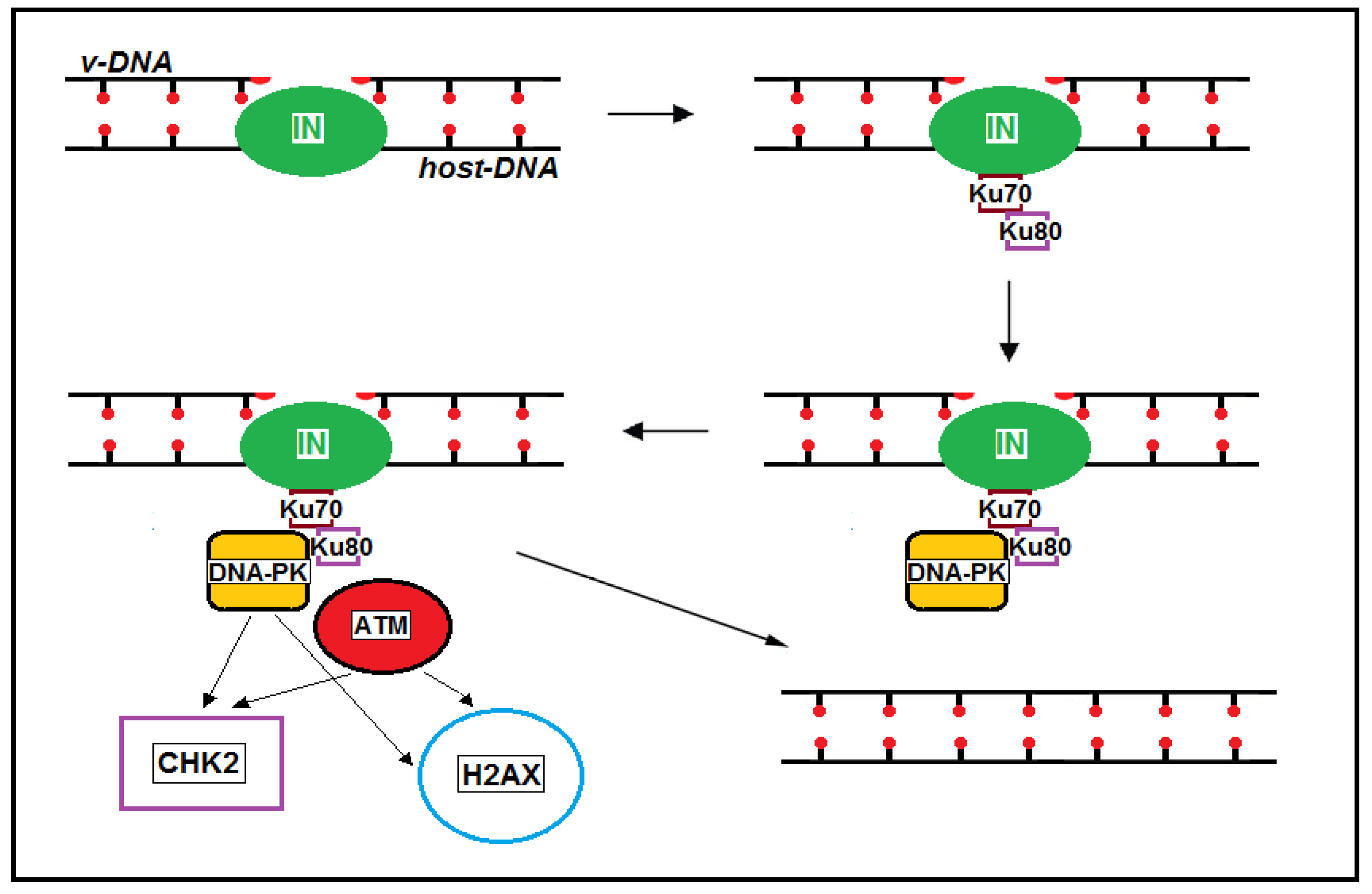 Ijms 26 03184 g001 Ijms 26 03184 g001