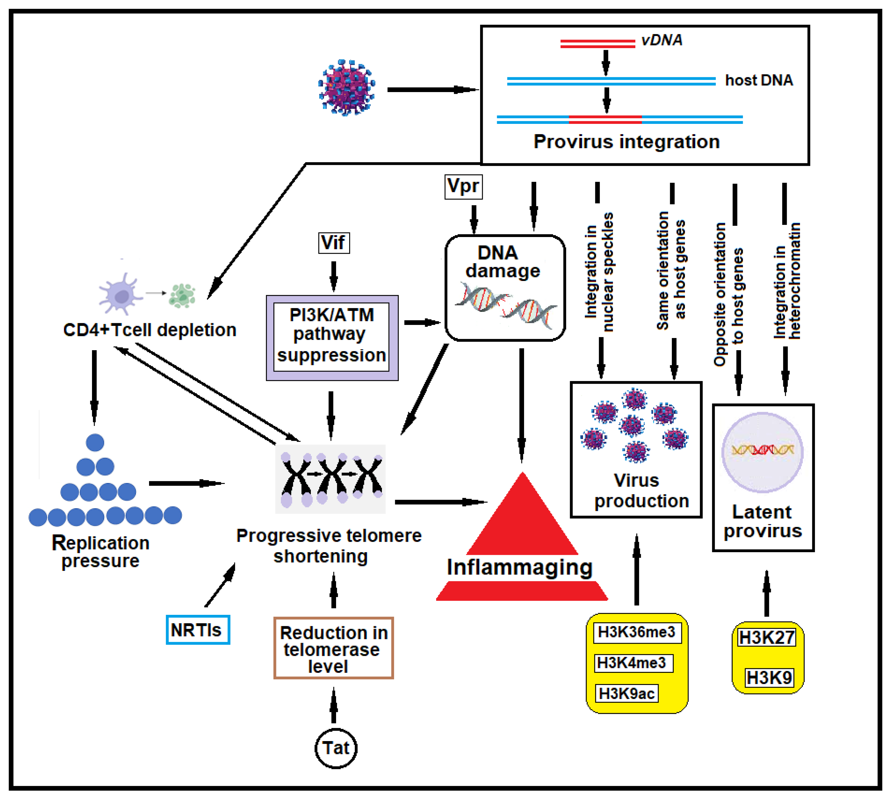 Ijms 26 03184 g002 Ijms 26 03184 g002
