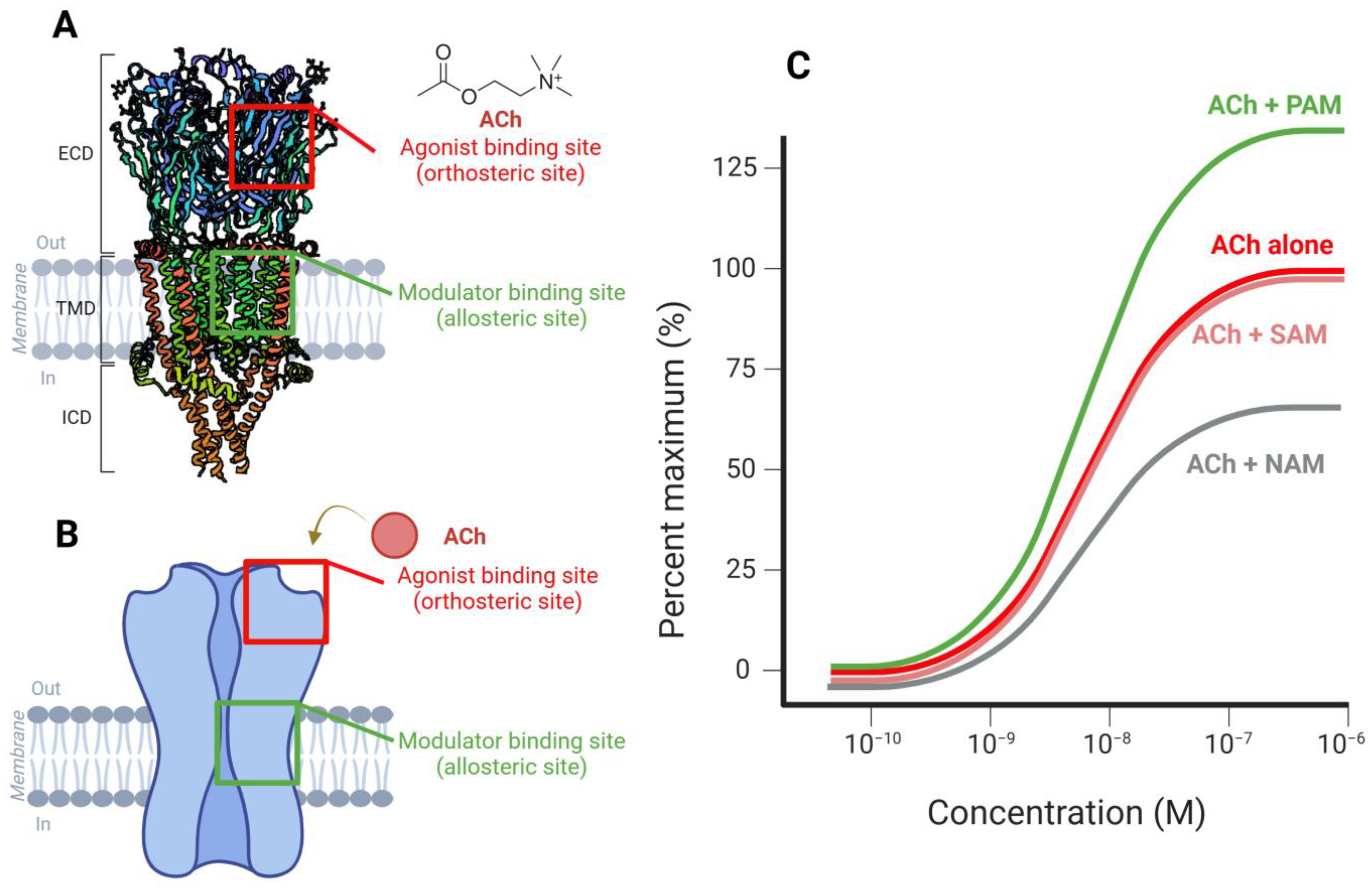 Ijms 26 03210 g001 Ijms 26 03210 g001