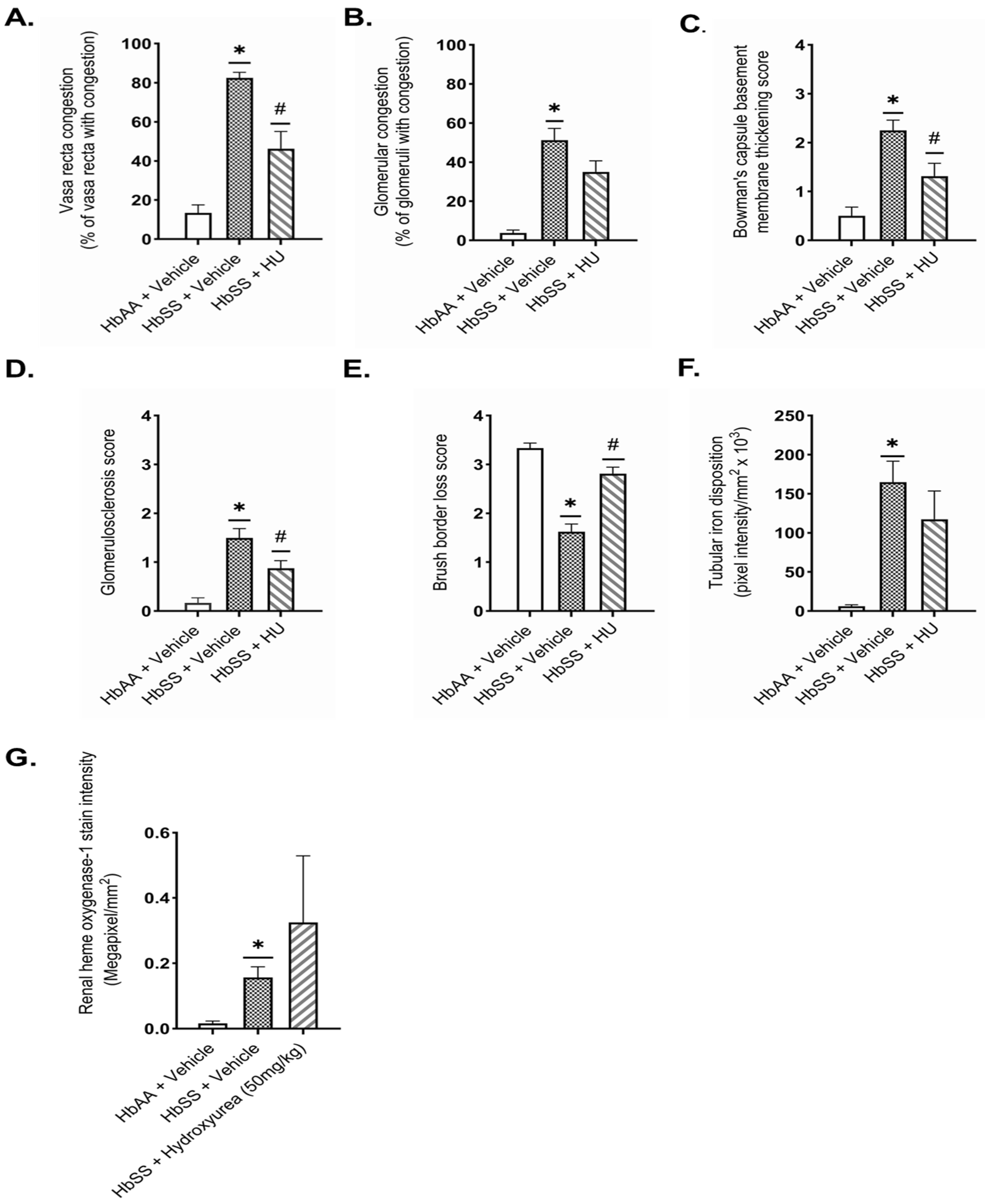 Ijms 26 03214 g003a Ijms 26 03214 g003a