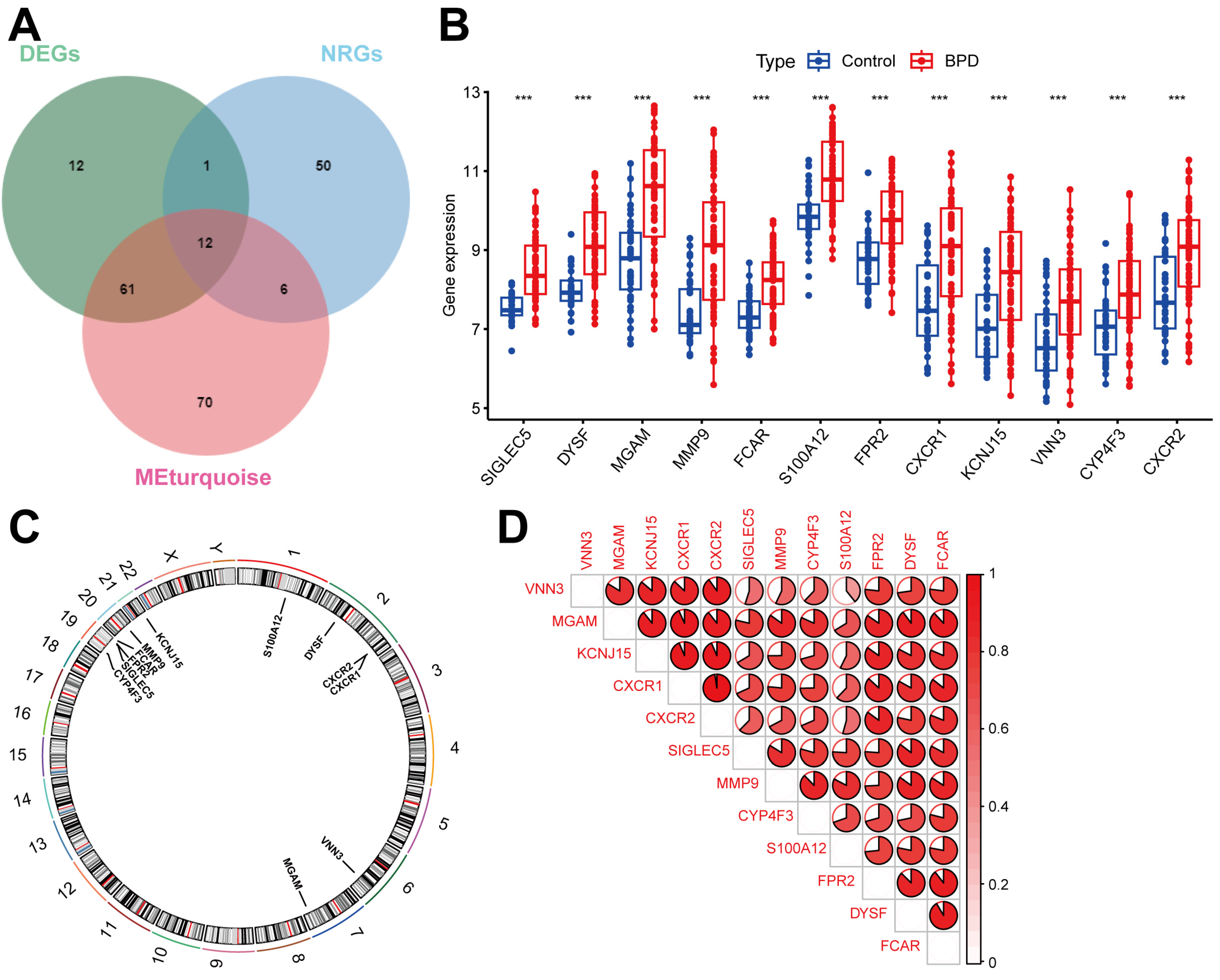 Ijms 26 03230 g003 Ijms 26 03230 g003